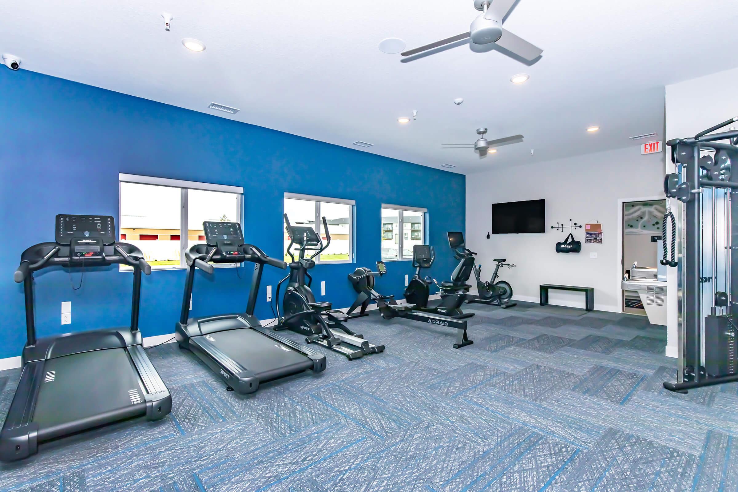 A well-lit fitness room featuring several exercise machines, including treadmills, an elliptical, and a weight machine. The walls are painted in blue, with large windows allowing natural light. There's a TV mounted on the wall and fitness accessories neatly arranged.