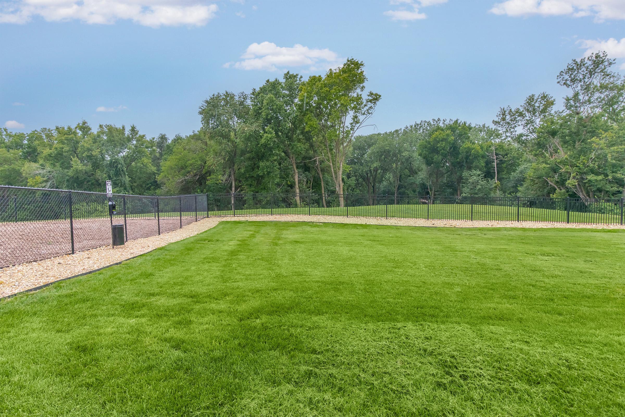 A well-maintained grassy area enclosed by a black chain-link fence, surrounded by trees and a clear blue sky. Pebbles line the edges of the lawn, creating a neat boundary. The scene is peaceful and inviting, ideal for outdoor activities.
