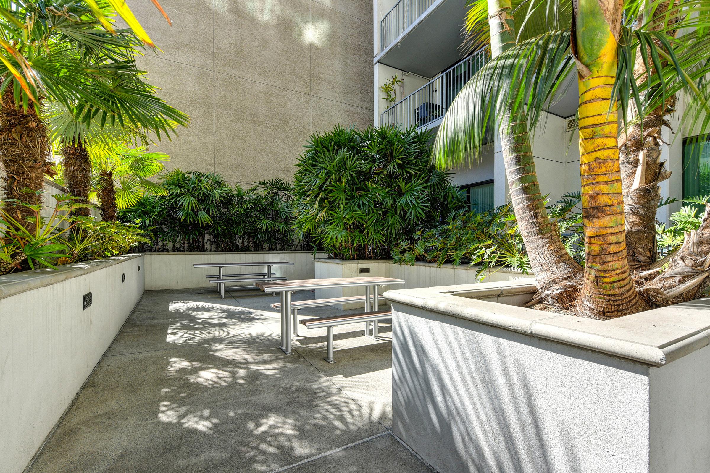 A serene outdoor seating area featuring several tables surrounded by lush greenery and palm trees. The space is well-lit with sunlight filtering through the foliage, creating a relaxing atmosphere for gatherings or work. The walls are minimalistic, contributing to a modern aesthetic.