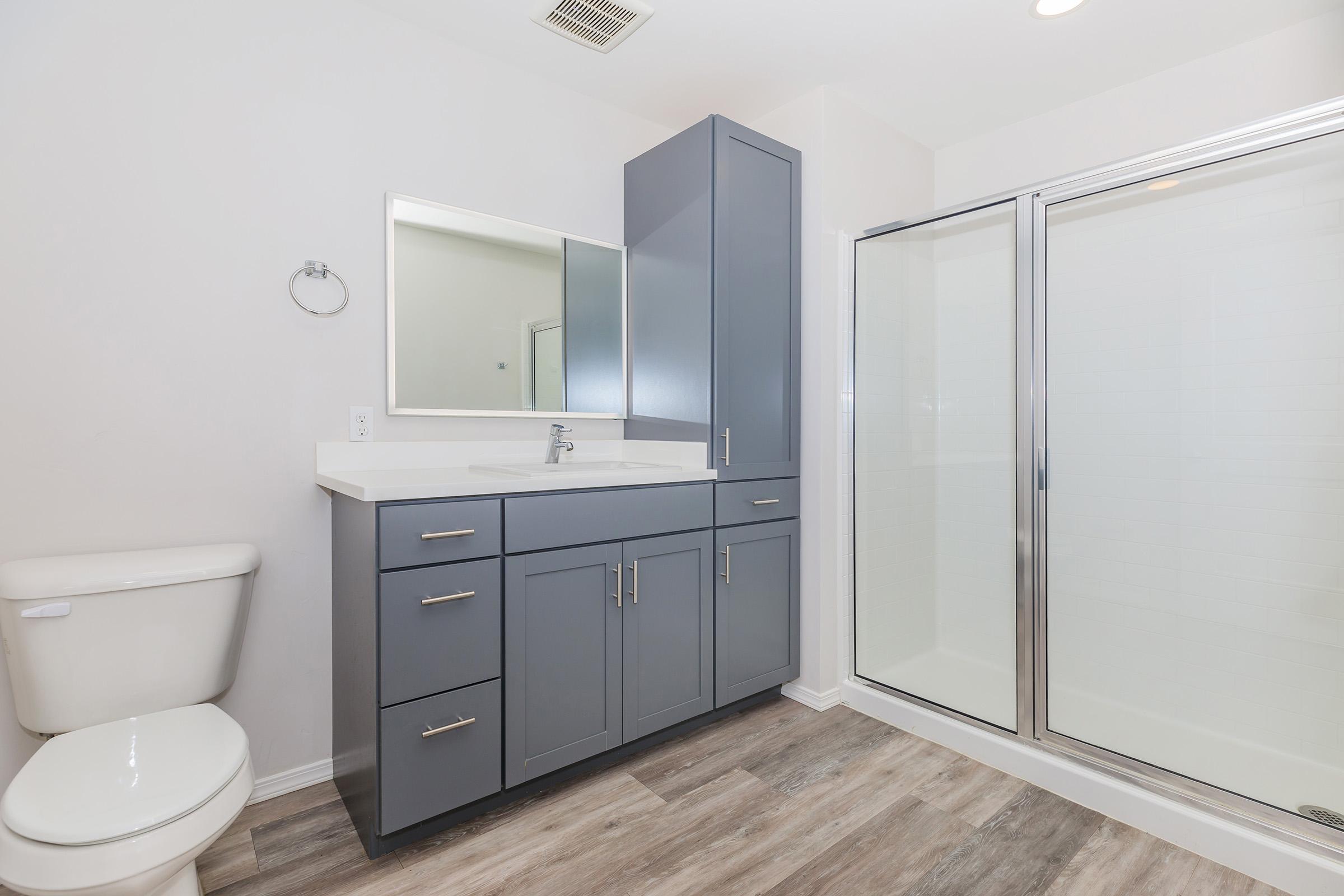 Modern bathroom featuring a white toilet, a gray cabinet with a sink and mirror, and a glass shower enclosure. The floor has wood-like planks, and the walls are painted light gray, creating a clean and contemporary look.