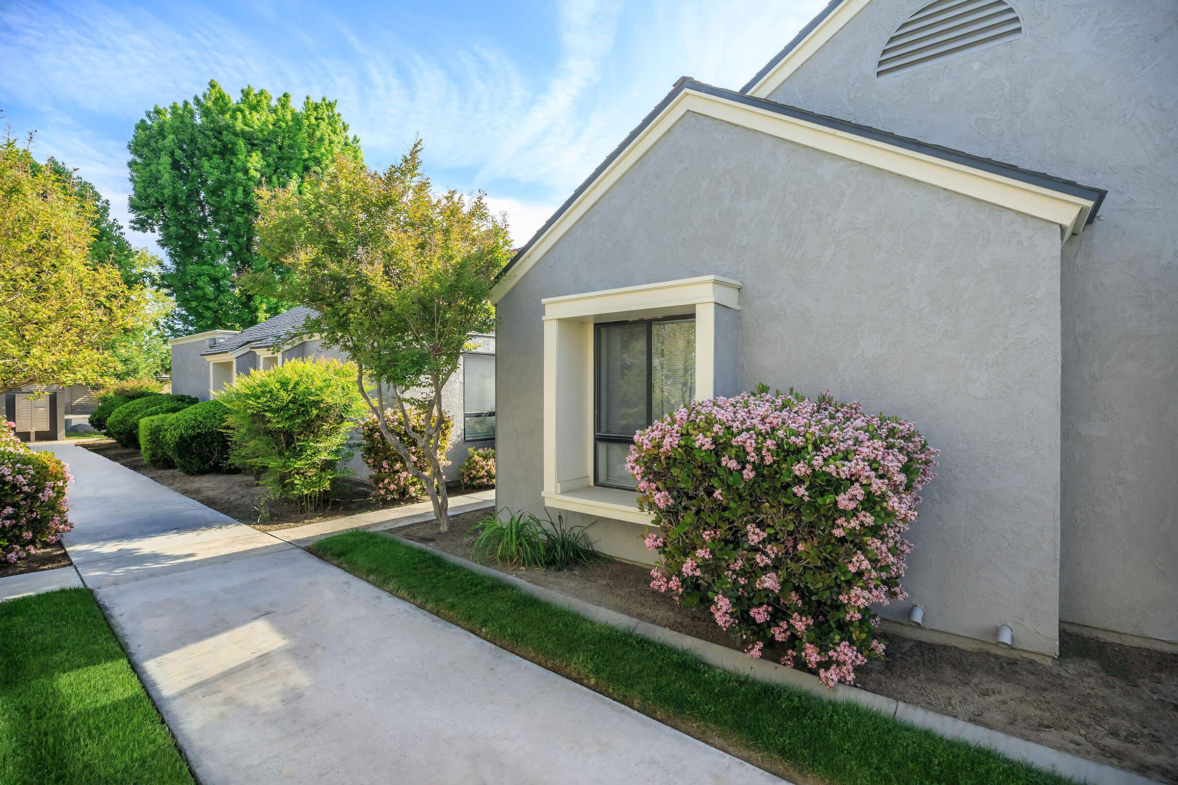 a garden in front of a house