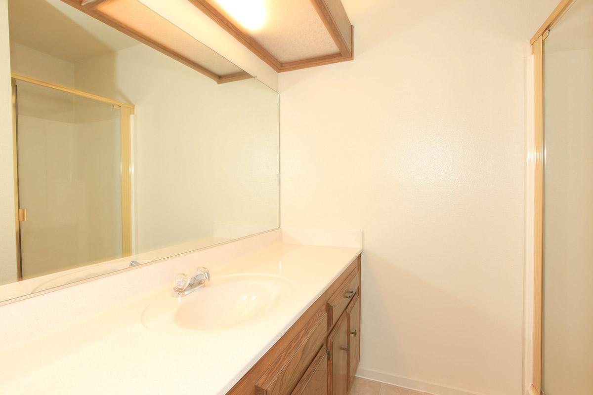 a shower that has a sink and a mirror