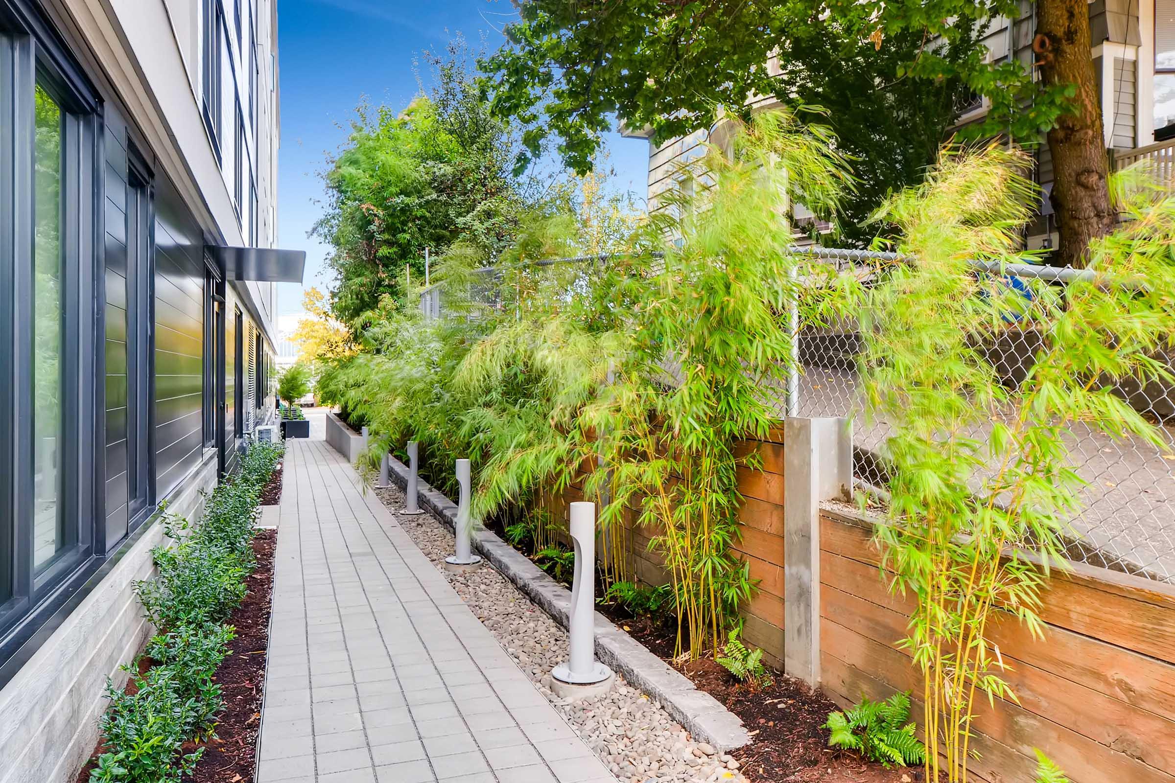 A tranquil pathway bordered by bamboo plants and wooden fencing, leading between modern buildings. The walkway features smooth pavers and is lined with greenery, creating a serene outdoor space. Natural light filters through the surrounding trees, enhancing the peaceful ambiance.