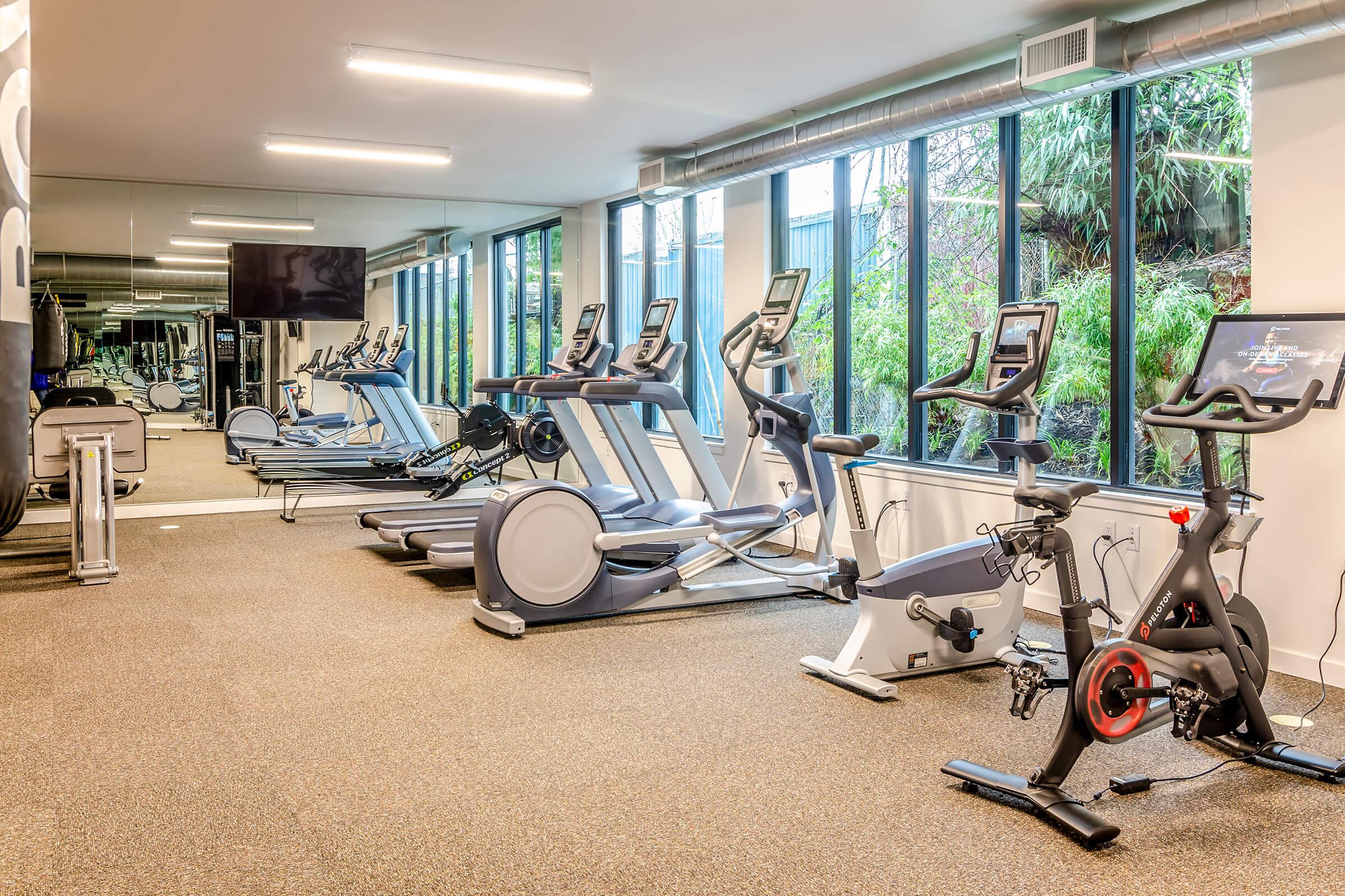 A modern gym interior featuring multiple exercise machines, including treadmills and stationary bikes. Large windows provide natural light and a view of greenery outside. The space is clean and well-organized, with a television mounted on the wall. Flooring is carpeted for comfort during workouts.