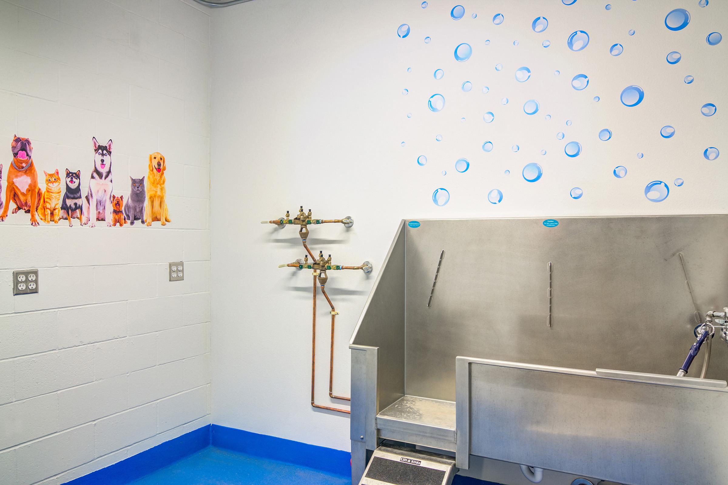 A pet grooming area featuring a stainless steel tub, water fixtures, and decorative wall art of various dog breeds. The walls are painted light colors, and blue paint is on the floor, enhancing the clean and playful atmosphere suited for pet bathing.