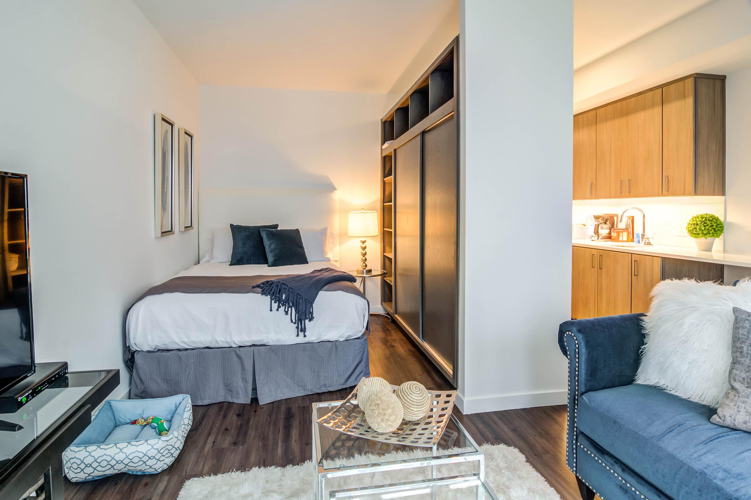 Cozy modern studio featuring a bed with gray bedding, a sofa with decorative pillows, a coffee table with seashells, and an open kitchenette with wooden cabinets. Soft lighting and neutral tones create a warm atmosphere. A small pet bed is placed on the floor, adding a homey touch.
