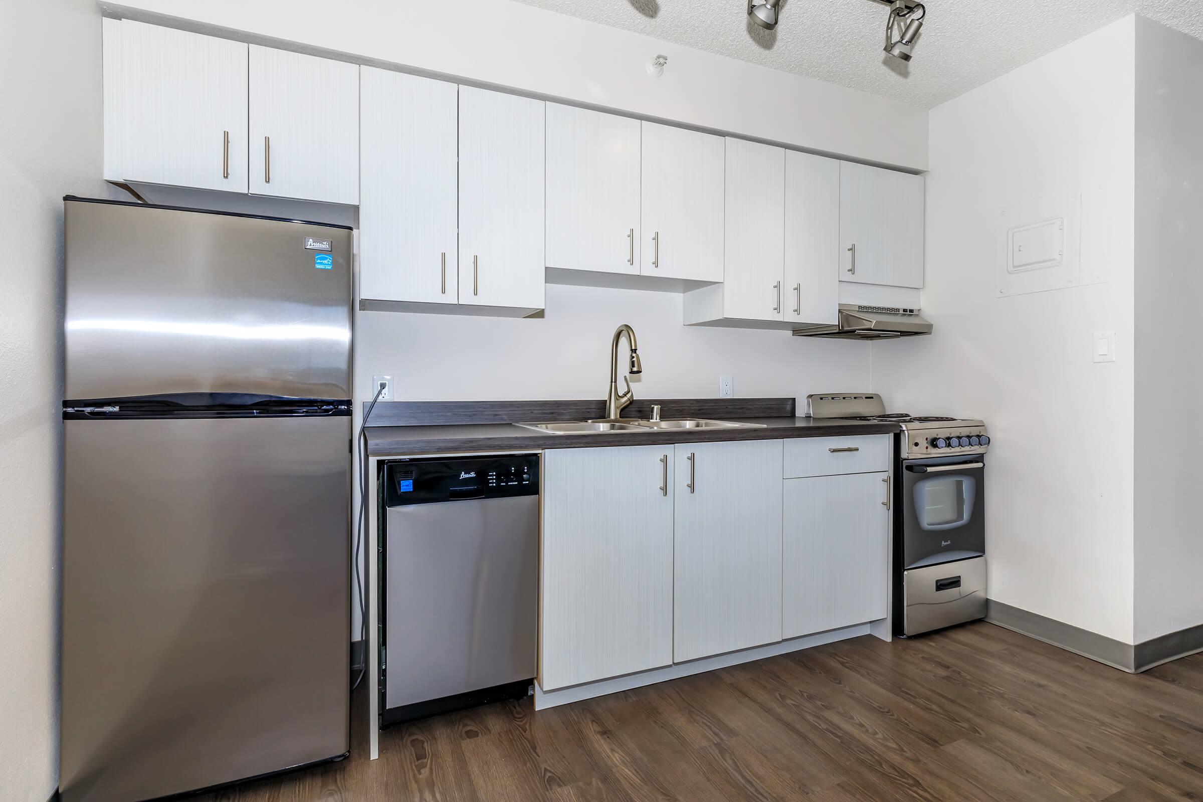 Apartments in Tacoma WA for Rent - Orion - Kitchen with Dark Countertops, White Cabinets, Dual-Basin Sink, and Stainless Steel Appliances