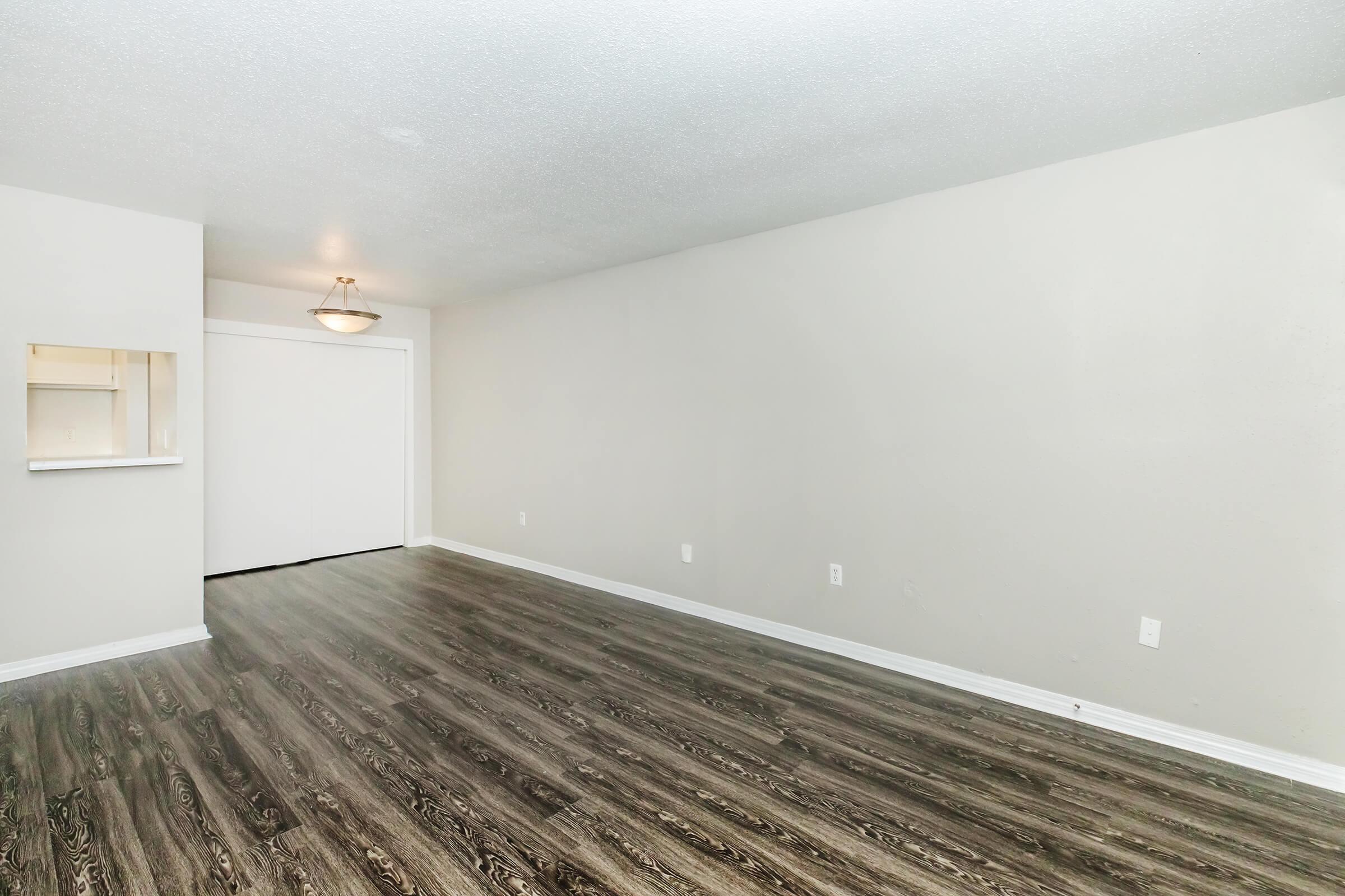 A spacious, empty room with light-colored walls and a dark wood-like floor. There is a small chandelier on the ceiling, and a closet door is partially visible on the left side. The room has a clean, minimalist appearance with ample natural light.