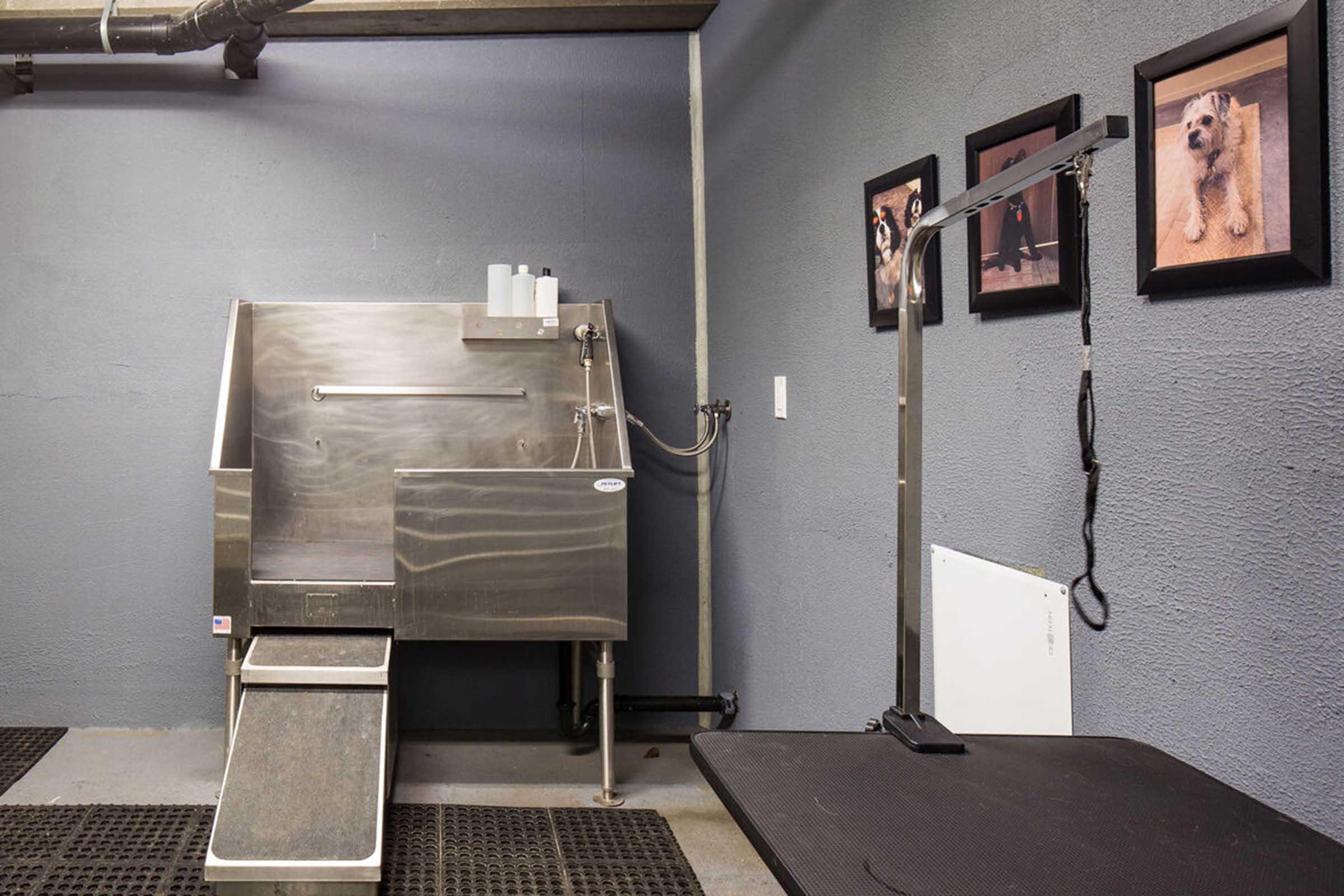 A professional pet grooming space featuring a stainless steel wash station with a ramp, bottles on a shelf, and a black grooming table. The wall has framed photos of dogs, adding a warm touch to the functional environment. The floor has a textured mat for safety.