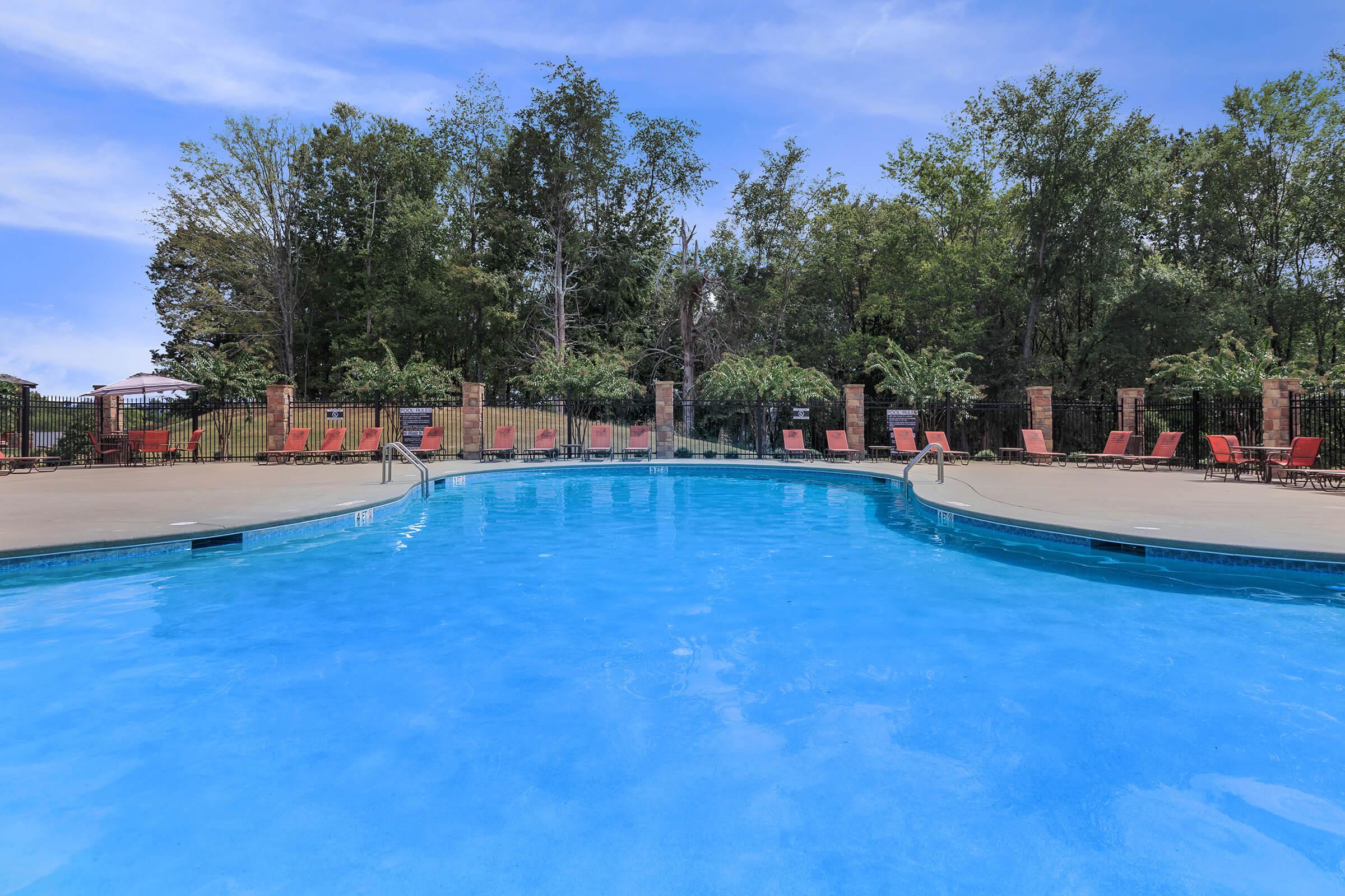 a group of people swimming in a pool of water
