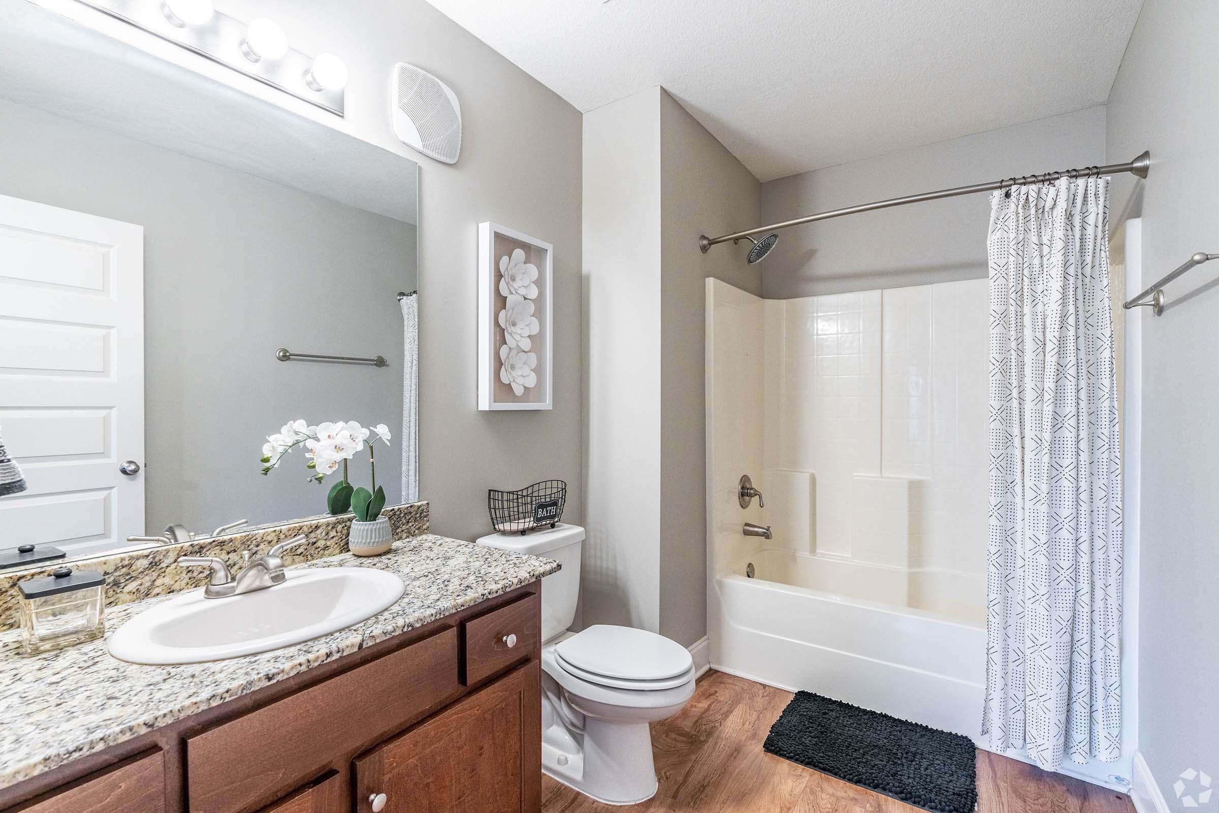 A modern bathroom featuring a granite countertop sink, a mirror with integrated lighting, a white bathtub with a shower, a toilet, and a decorative plant. The walls are painted light gray, and there is a patterned shower curtain and a small rug on the floor.