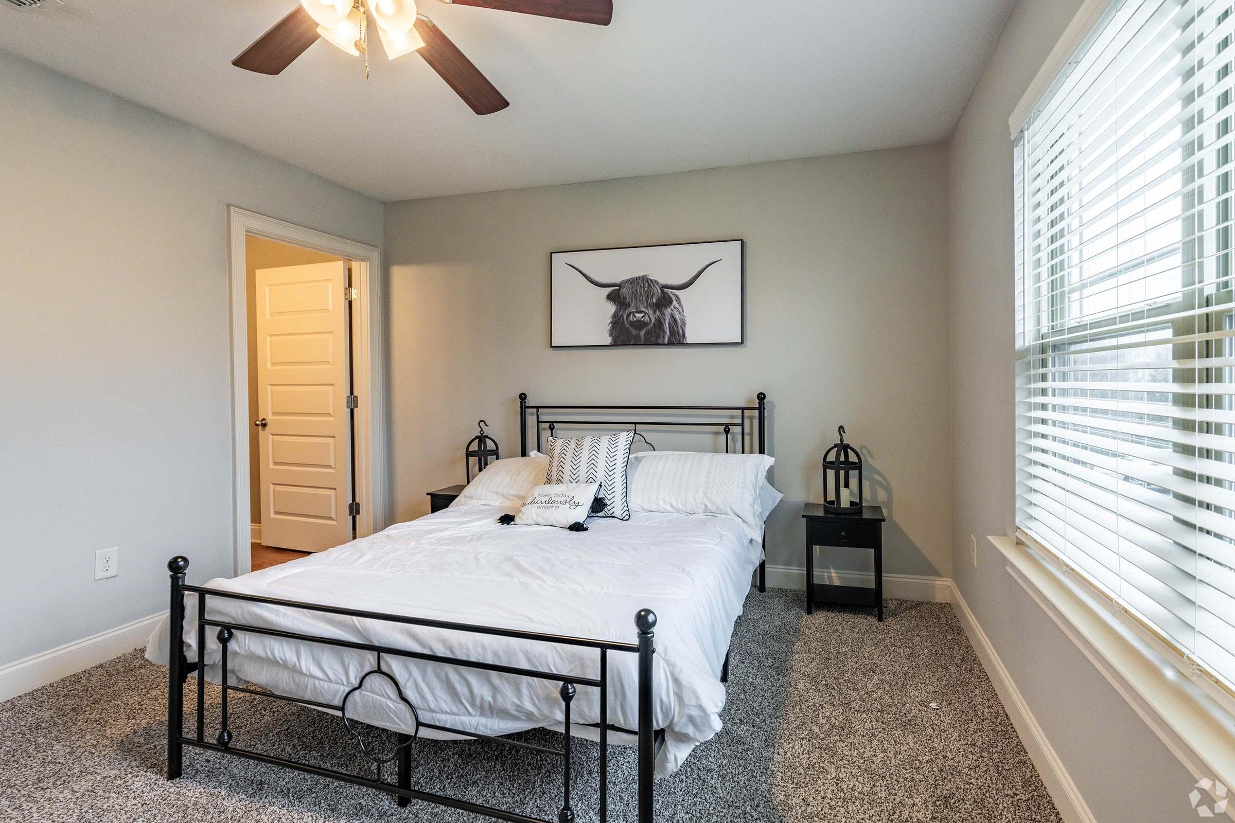 A cozy bedroom featuring a black metal bed frame with white bedding. A large black and white bull portrait hangs above the bed. There are two decorative lanterns on nightstands beside the bed. The room has light gray walls and a ceiling fan, with natural light coming through a window adorned with blinds.