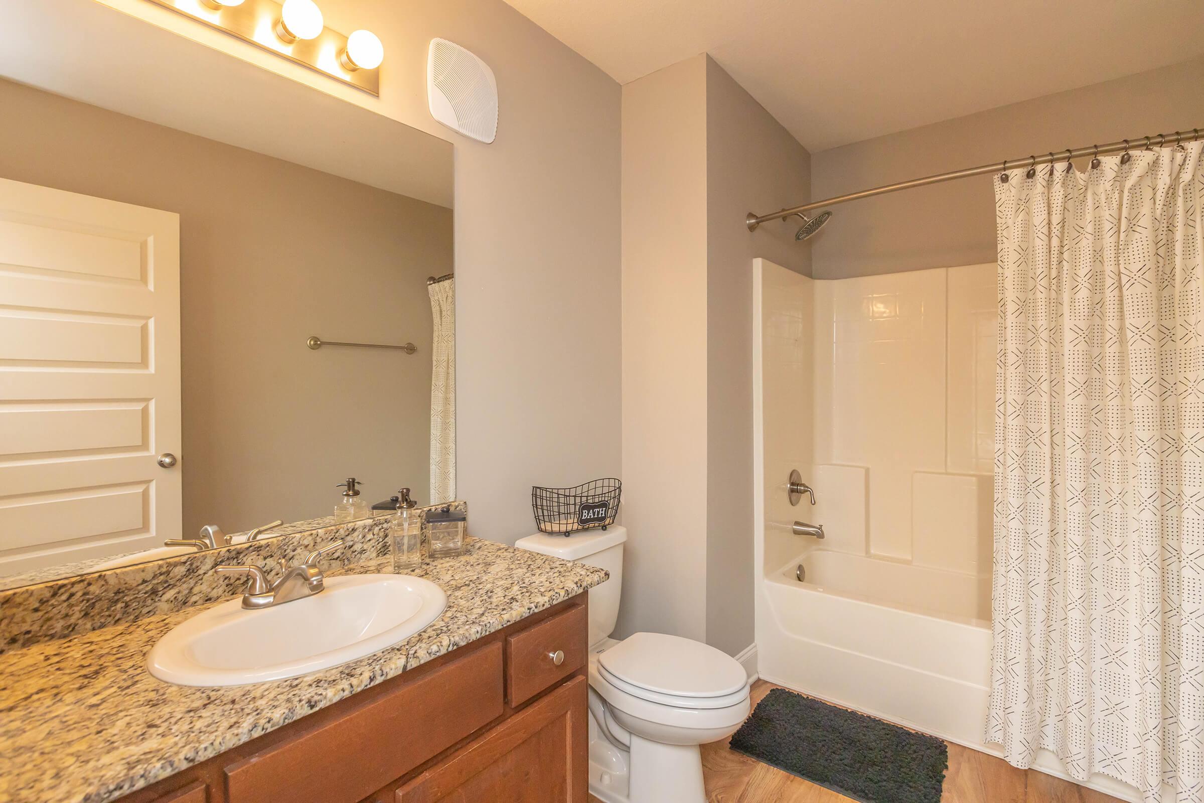 A modern bathroom featuring a granite countertop with a sink, a white bathtub with a shower curtain, and a toilet. The walls are painted light gray, and there is a lit mirror above the sink. A small basket is placed on the counter, adding to the decor.