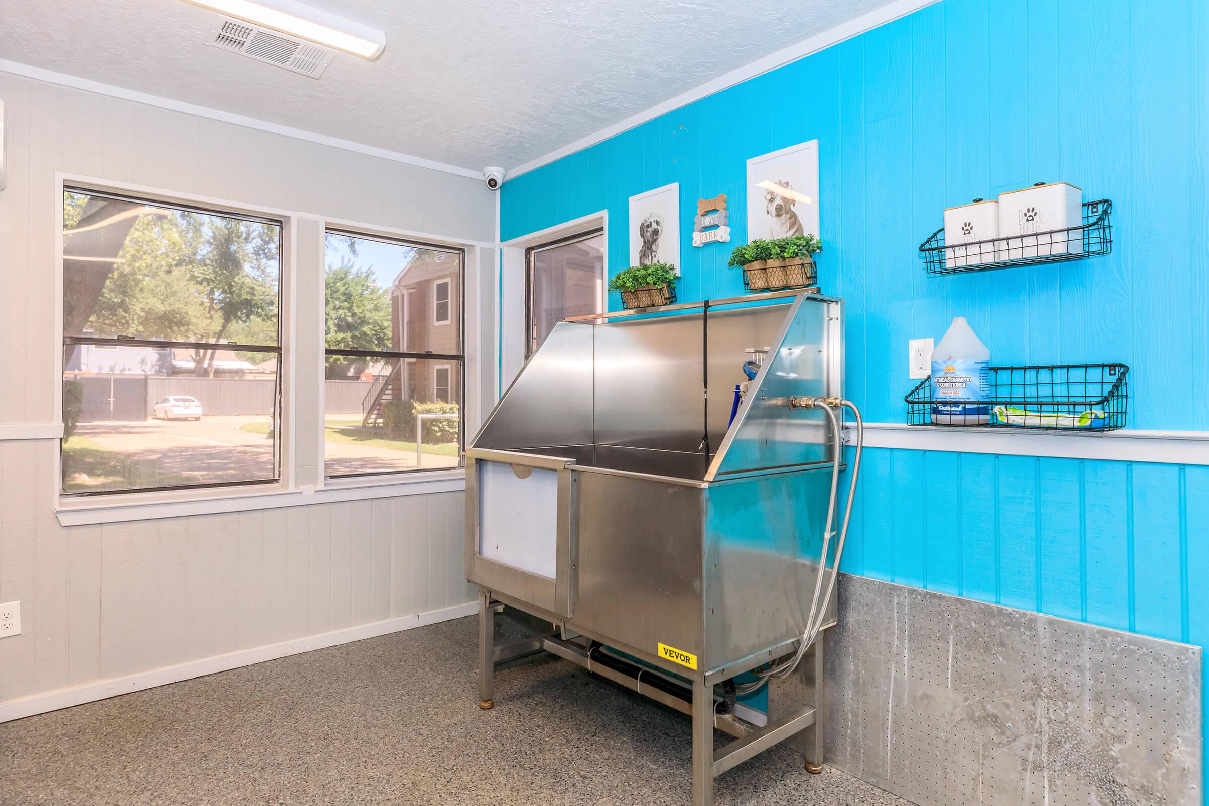 A bright and clean grooming room featuring a stainless steel tub for washing pets, blue walls, and large windows allowing natural light. There are decorative plants on the walls and a storage area with shelves for supplies.