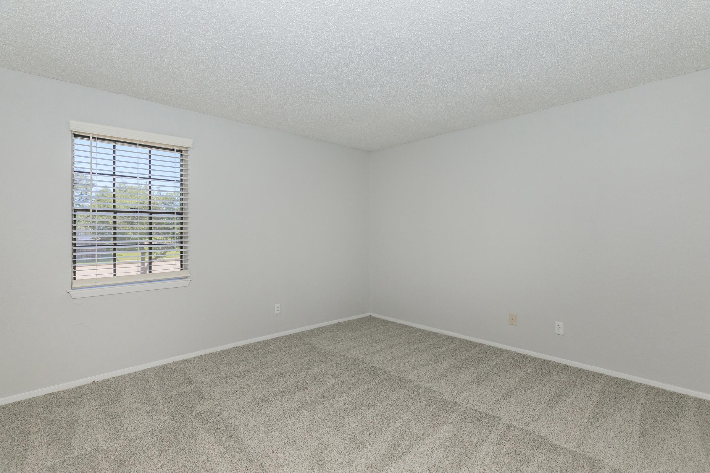 Empty room with light gray walls and beige carpet. The window features horizontal blinds, allowing soft natural light to enter. The space is uncluttered and minimalistic, creating a clean and spacious atmosphere. No furniture or decor present, emphasizing the room's simplicity.