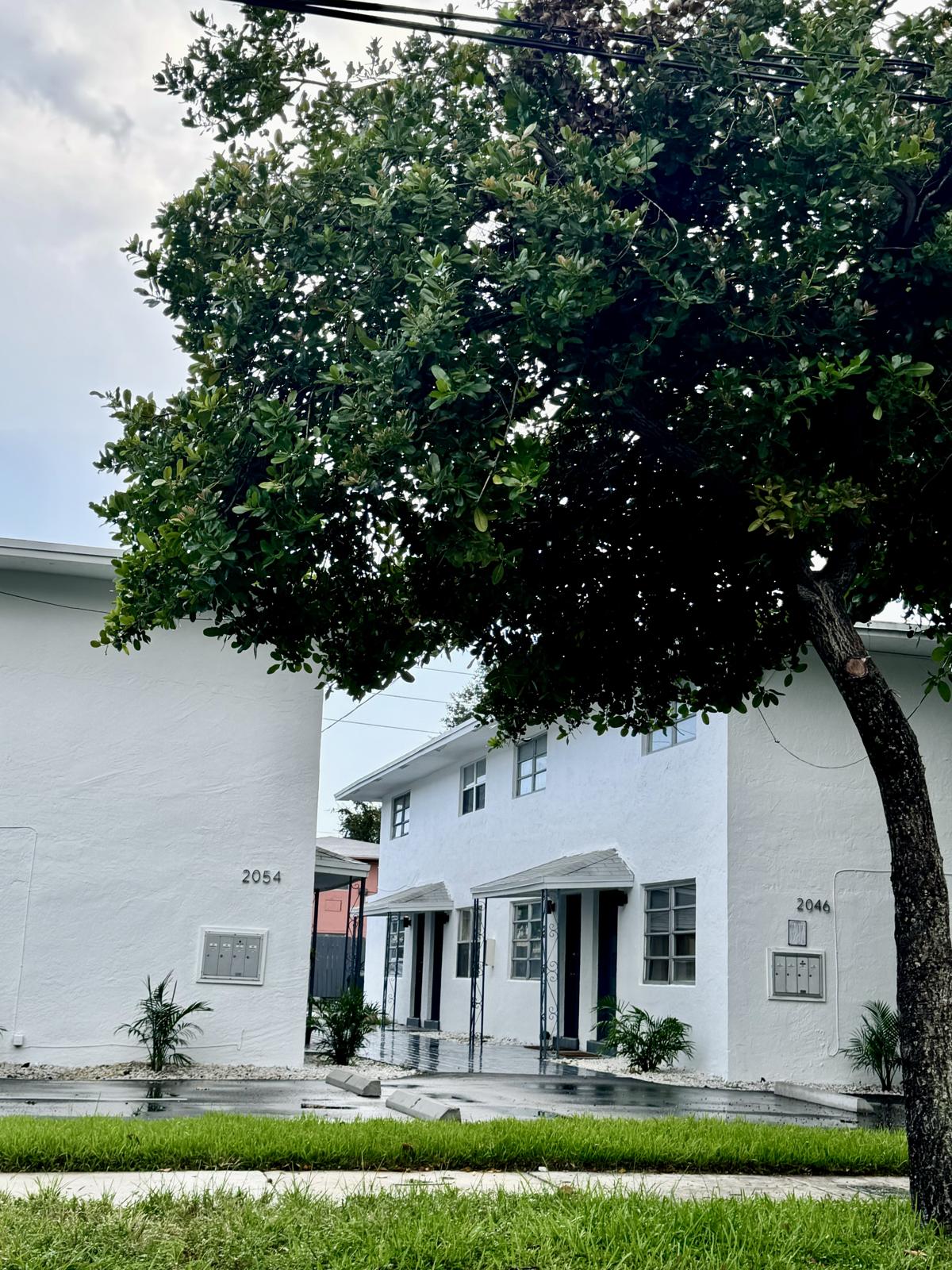 a tree in front of a house