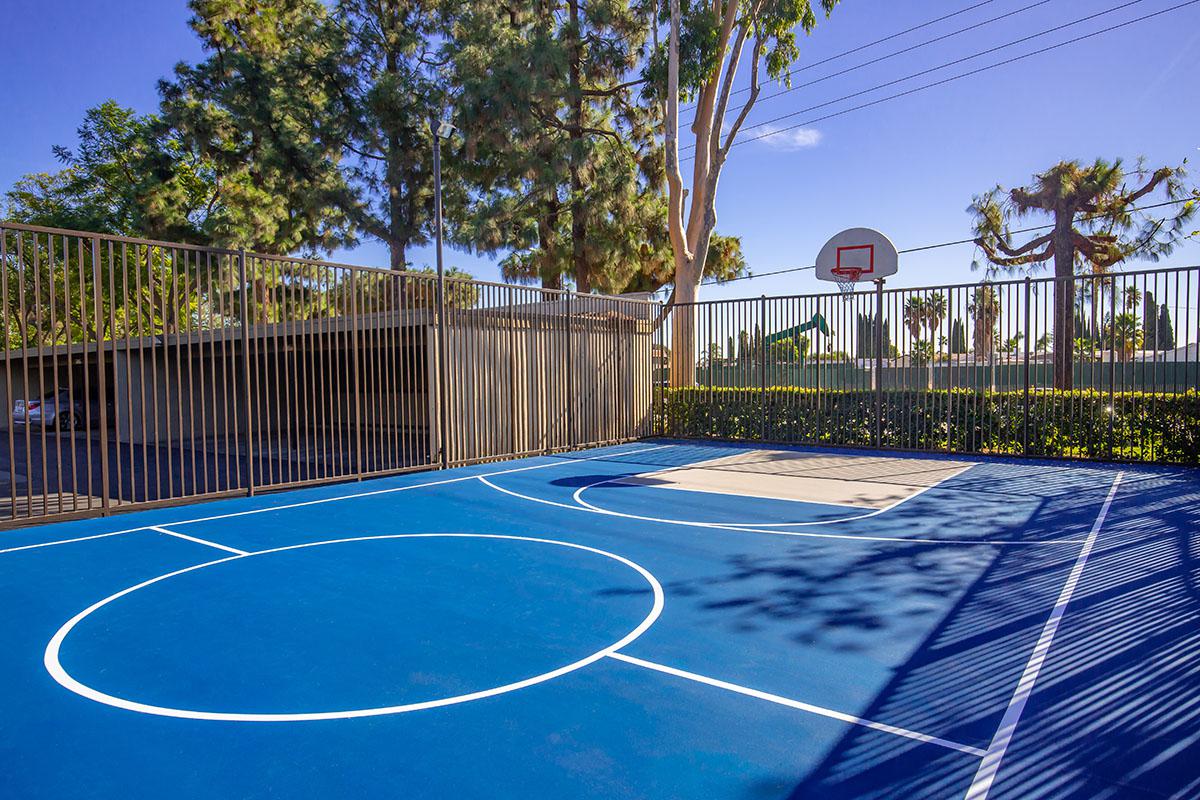 Eastwood Apartment Homes basketball court