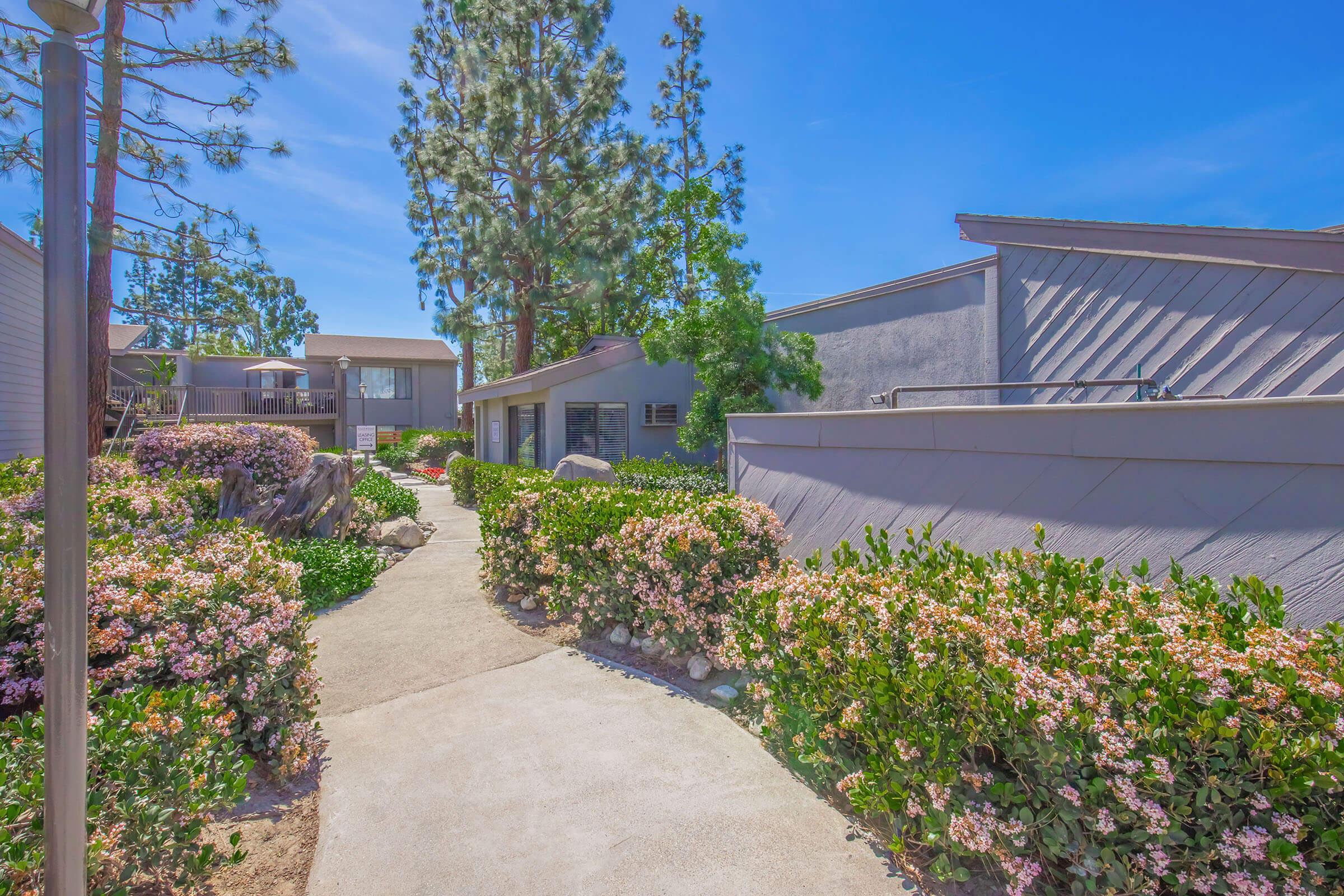 A picturesque pathway meanders through lush greenery and flowering bushes, leading to modern buildings under a bright blue sky. Tall pine trees line the scene, enhancing the serene atmosphere of this residential area.
