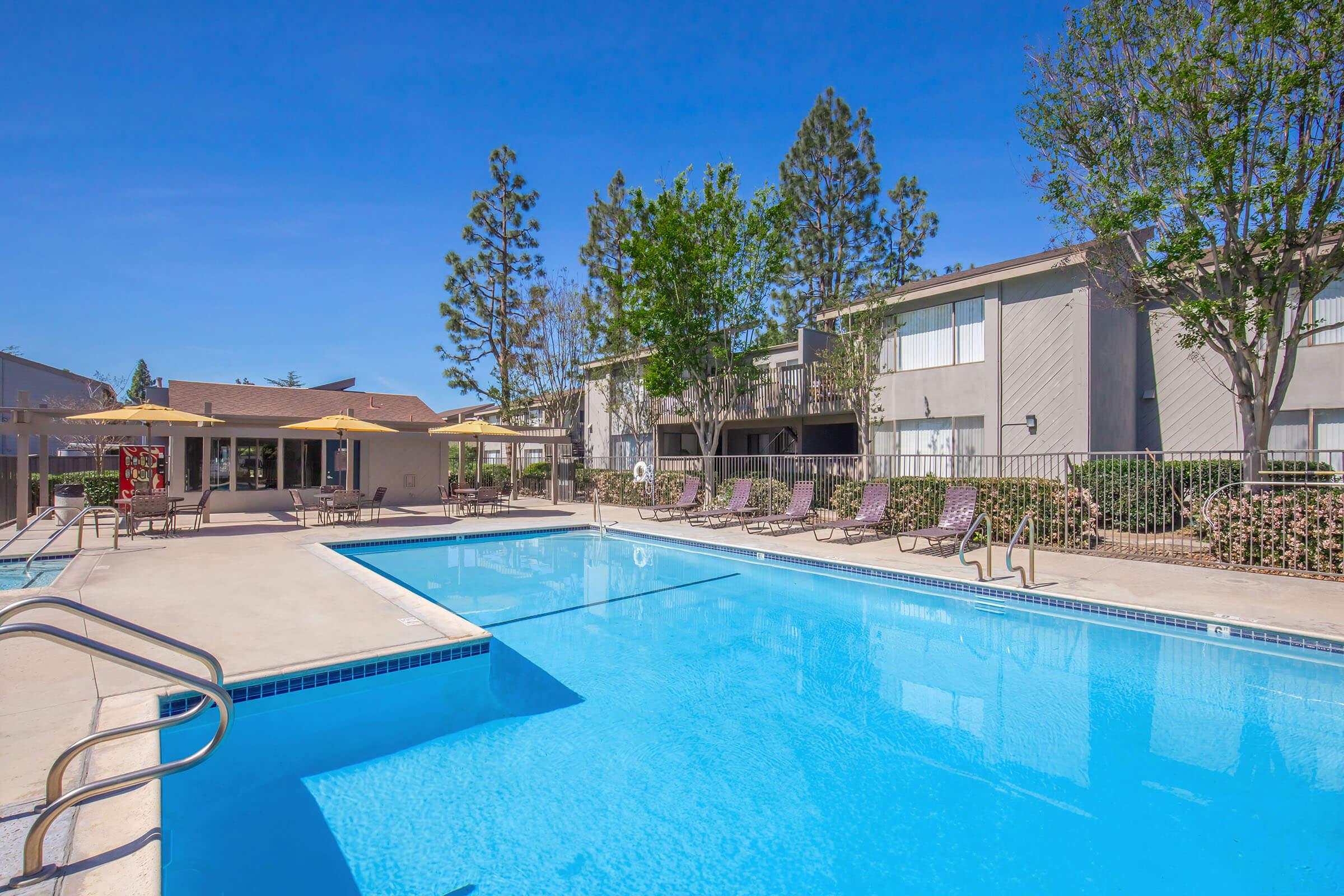 A clear blue swimming pool surrounded by sun loungers and umbrellas, with landscaped greenery and a residential building in the background. The scene is bright, reflecting a sunny day, creating a relaxing outdoor atmosphere.