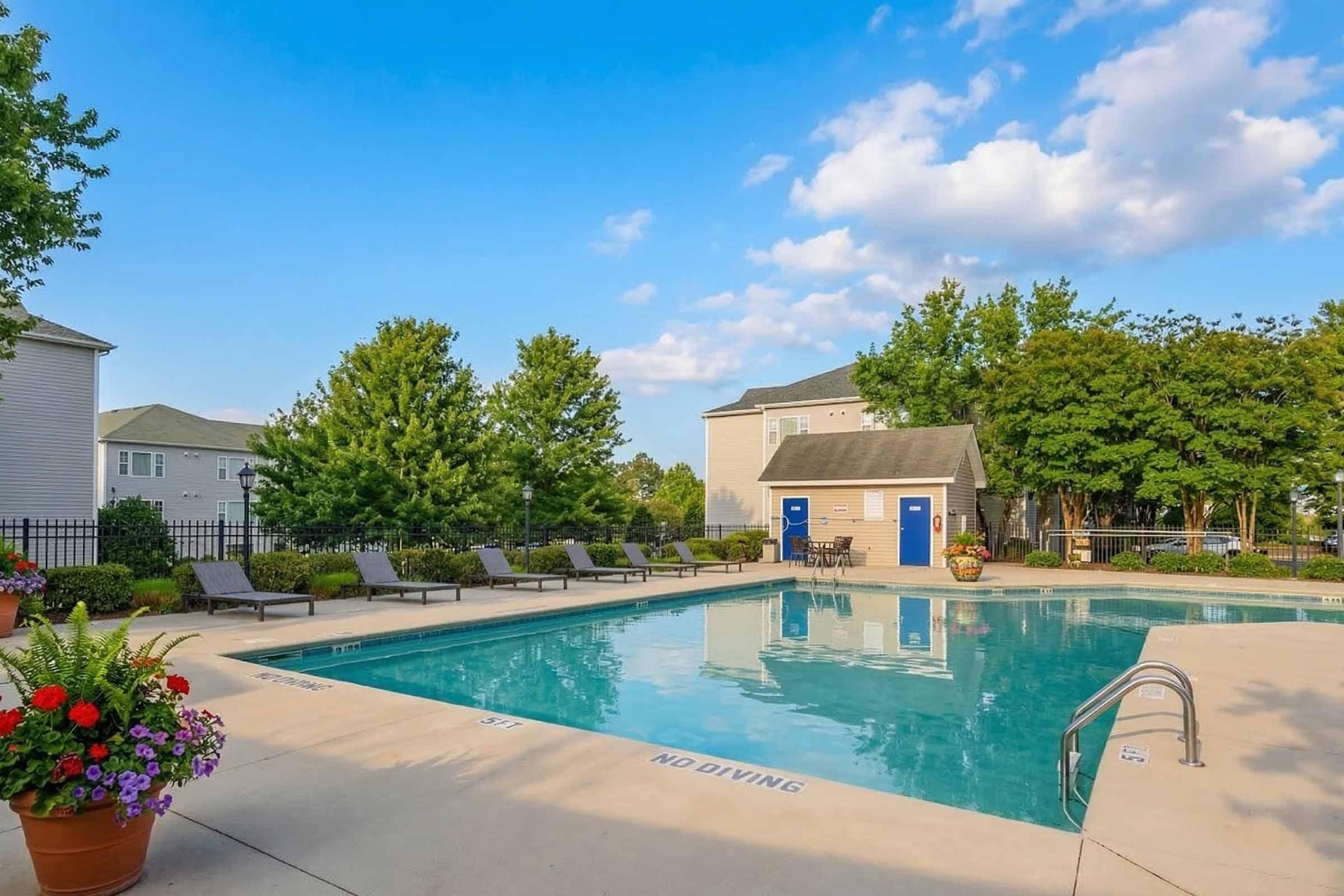 A serene outdoor swimming pool surrounded by lounge chairs and vibrant greenery. The pool area features decorative flower pots and a clear blue sky. Nearby buildings can be seen in the background, creating a relaxing and inviting atmosphere. Signs indicating "No Diving" are visible around the pool's edge.