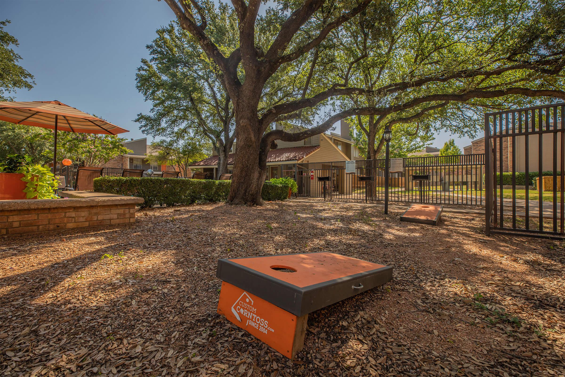 a tree in a park