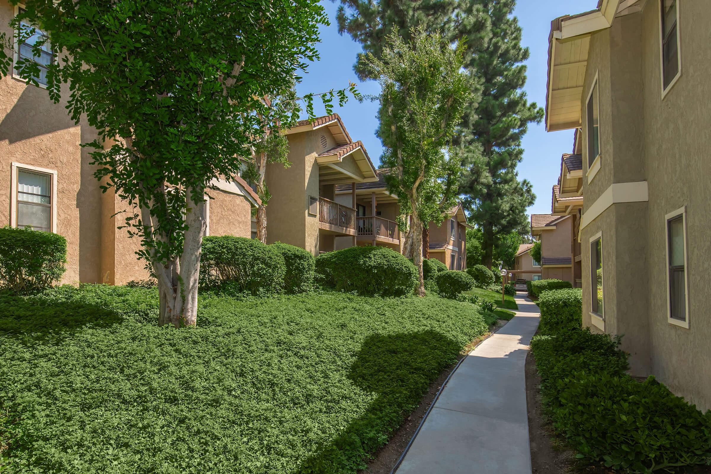 A well-maintained pathway meanders through a landscaped area with lush green shrubs and small trees. Adjacent to the path, there are several stylish residential buildings with beige exteriors, located under a clear blue sky. Sunlight casts soft shadows on the walkway, enhancing the serene atmosphere.