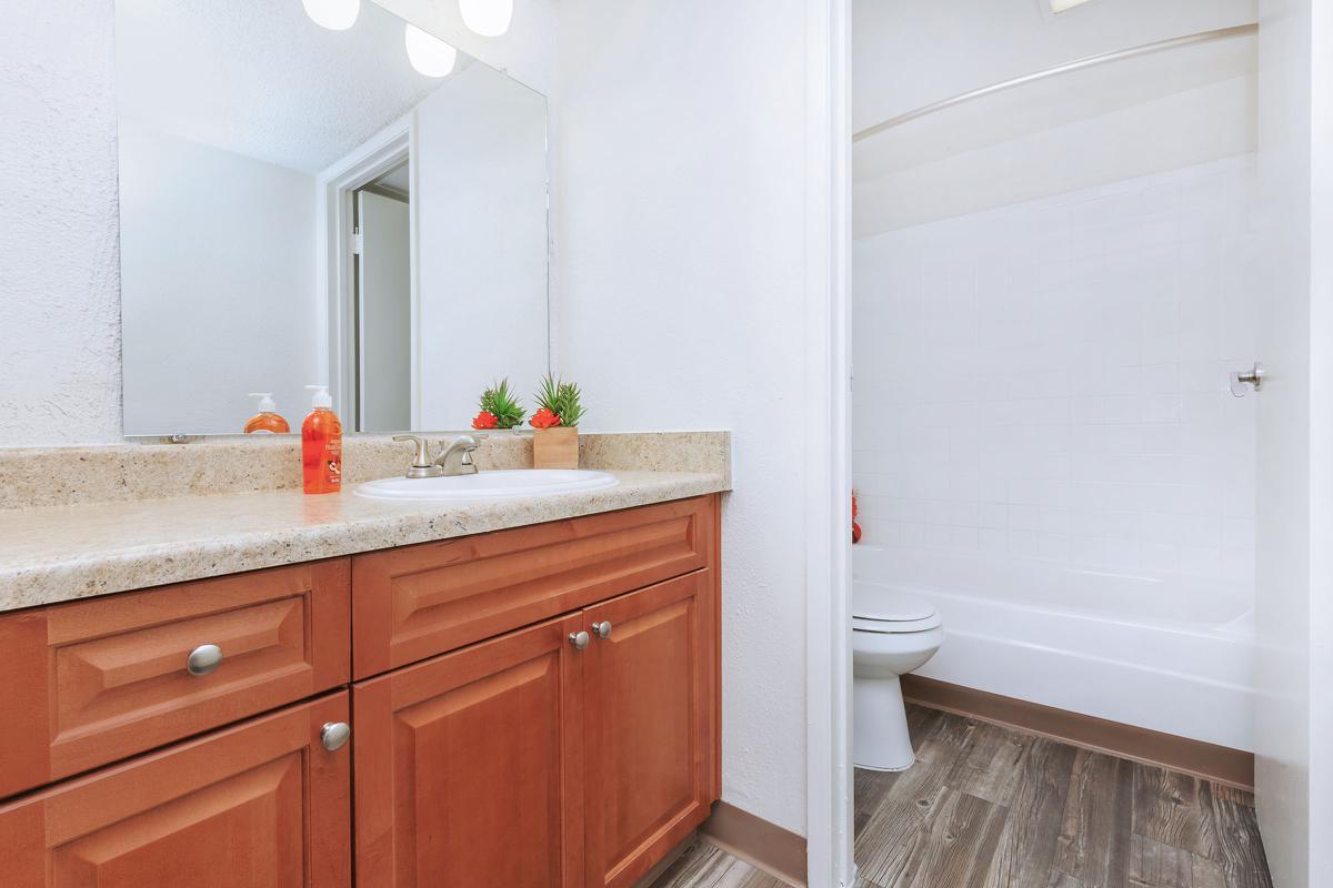 Bathroom with wooden cabinets