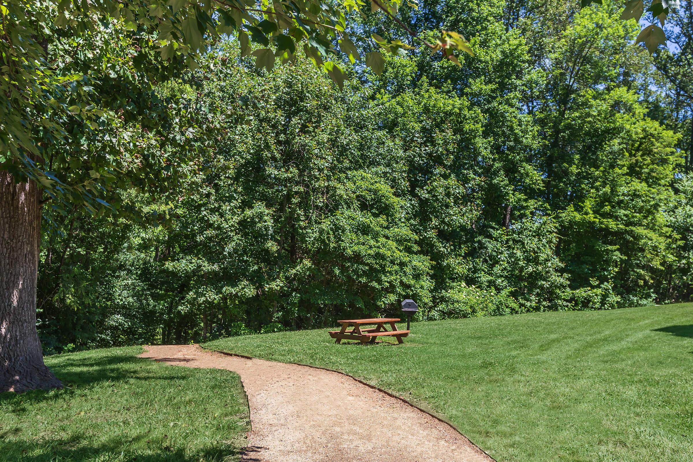 a tree in a park