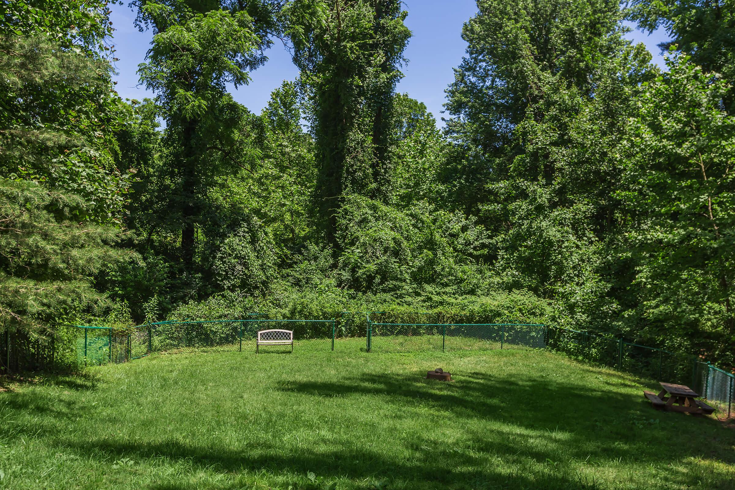 a tree in the middle of a lush green field