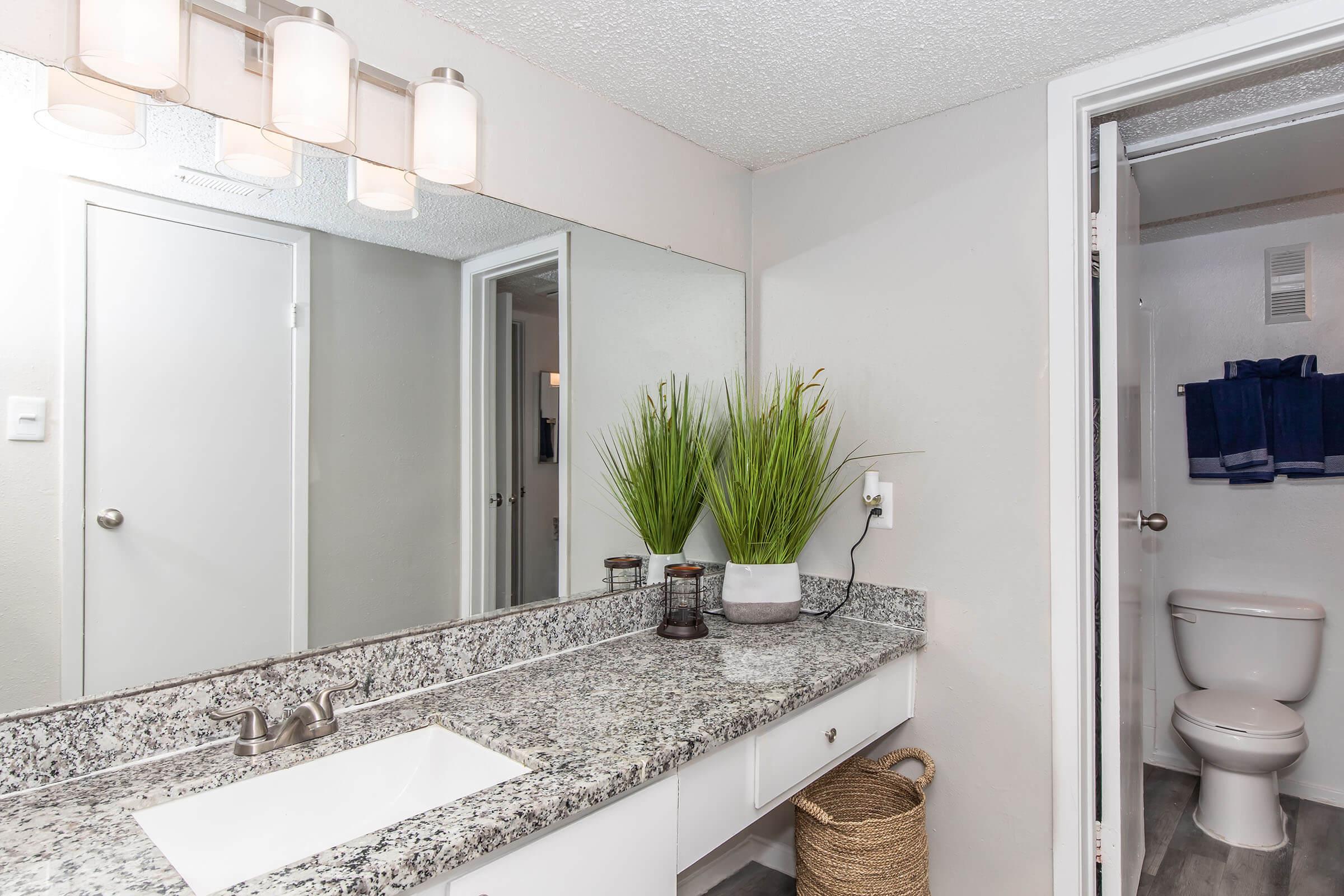 A modern bathroom featuring a granite countertop with a white sink, a large mirror, and stylish lighting. Decorative plants are arranged on the countertop. A door leads to a small restroom area with a toilet, while a woven basket is placed beside the sink area. The walls are painted in a light color, giving a clean and fresh look.