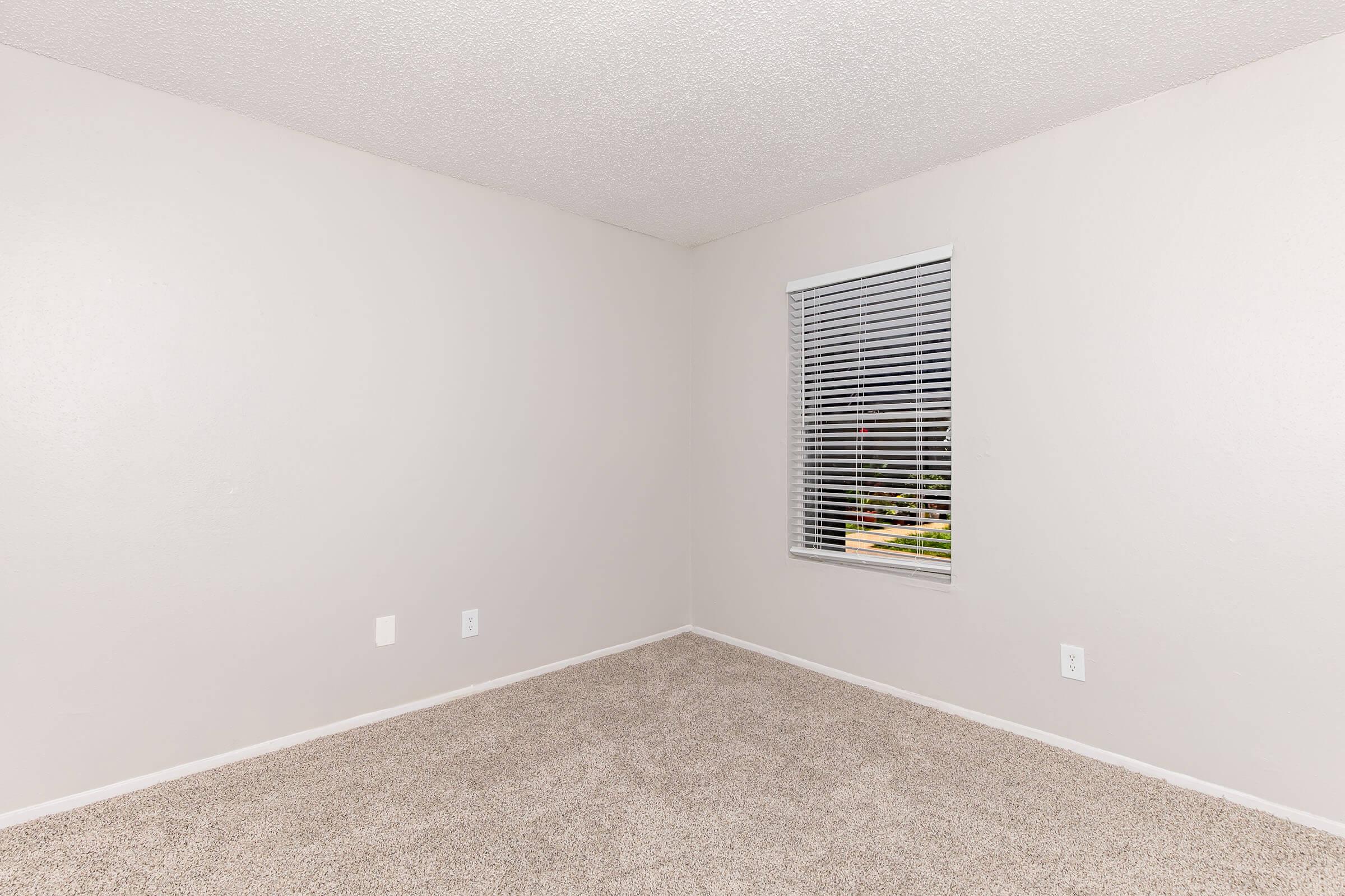 Empty room with light gray walls and beige carpet. A single window with white blinds lets in natural light, illuminating the space. There are no furnishings, creating a minimalistic and open feel. Two small wall outlets are visible.