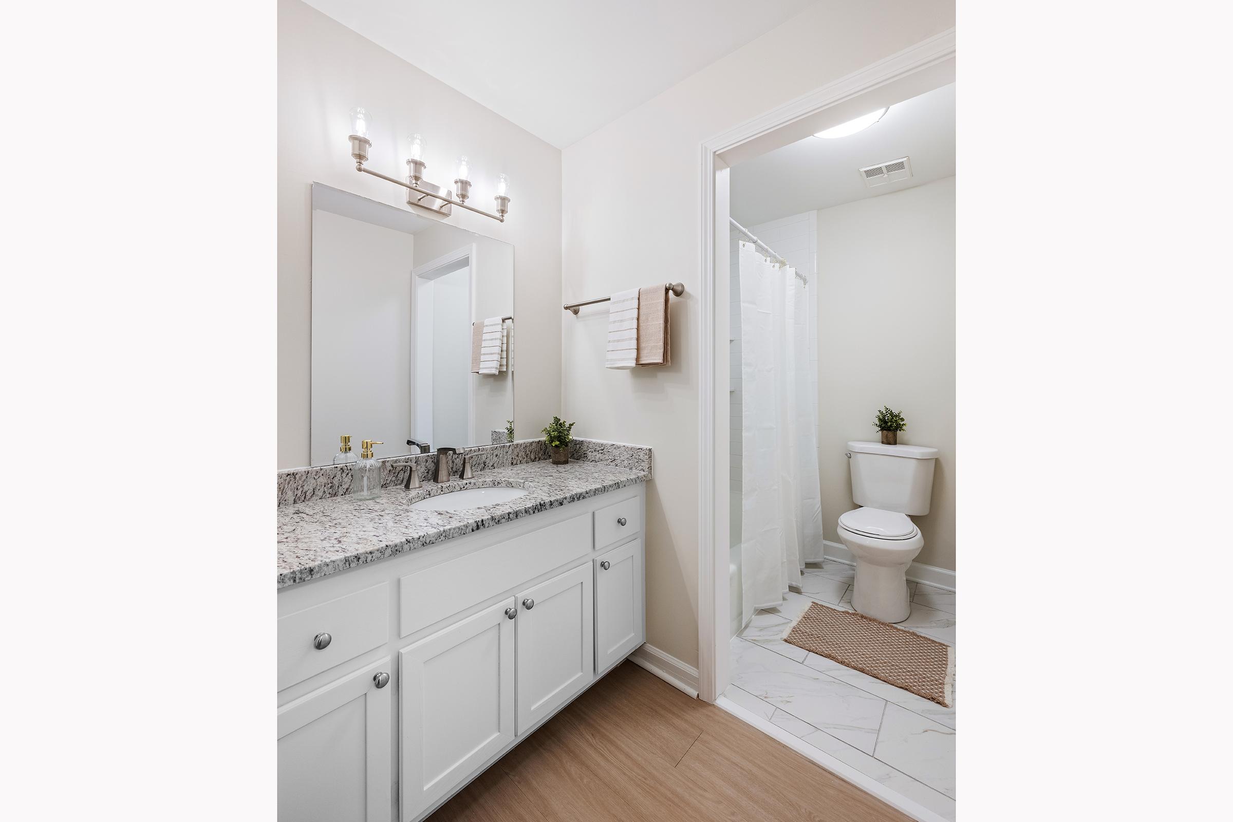 A modern bathroom featuring a double sink vanity with a granite countertop, lit by sconces above a large mirror. There are white cabinets below, and a neutral-colored wall. To the right, a partitioned area shows a white shower curtain and a toilet with decorative plants nearby. The floor combines tile and wood elements.