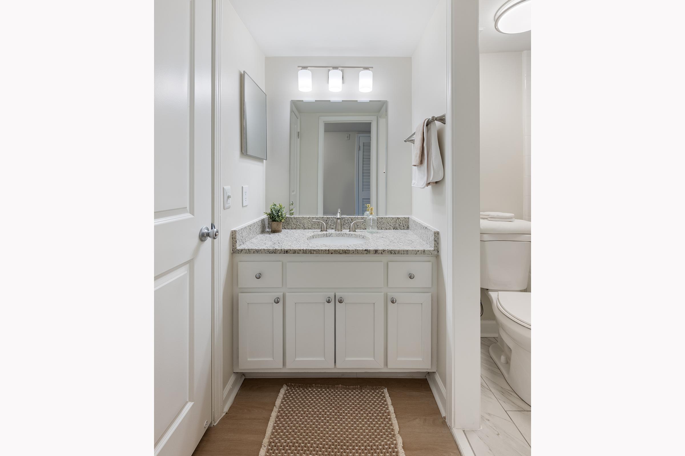 A modern bathroom featuring a white vanity with a granite countertop, a large mirror with three light fixtures above, a towel hanging on the wall, and a decorative plant. The room includes neutral-colored walls, a beige rug on the floor, and a view into another section of the bathroom. The overall decor is clean and minimalist.