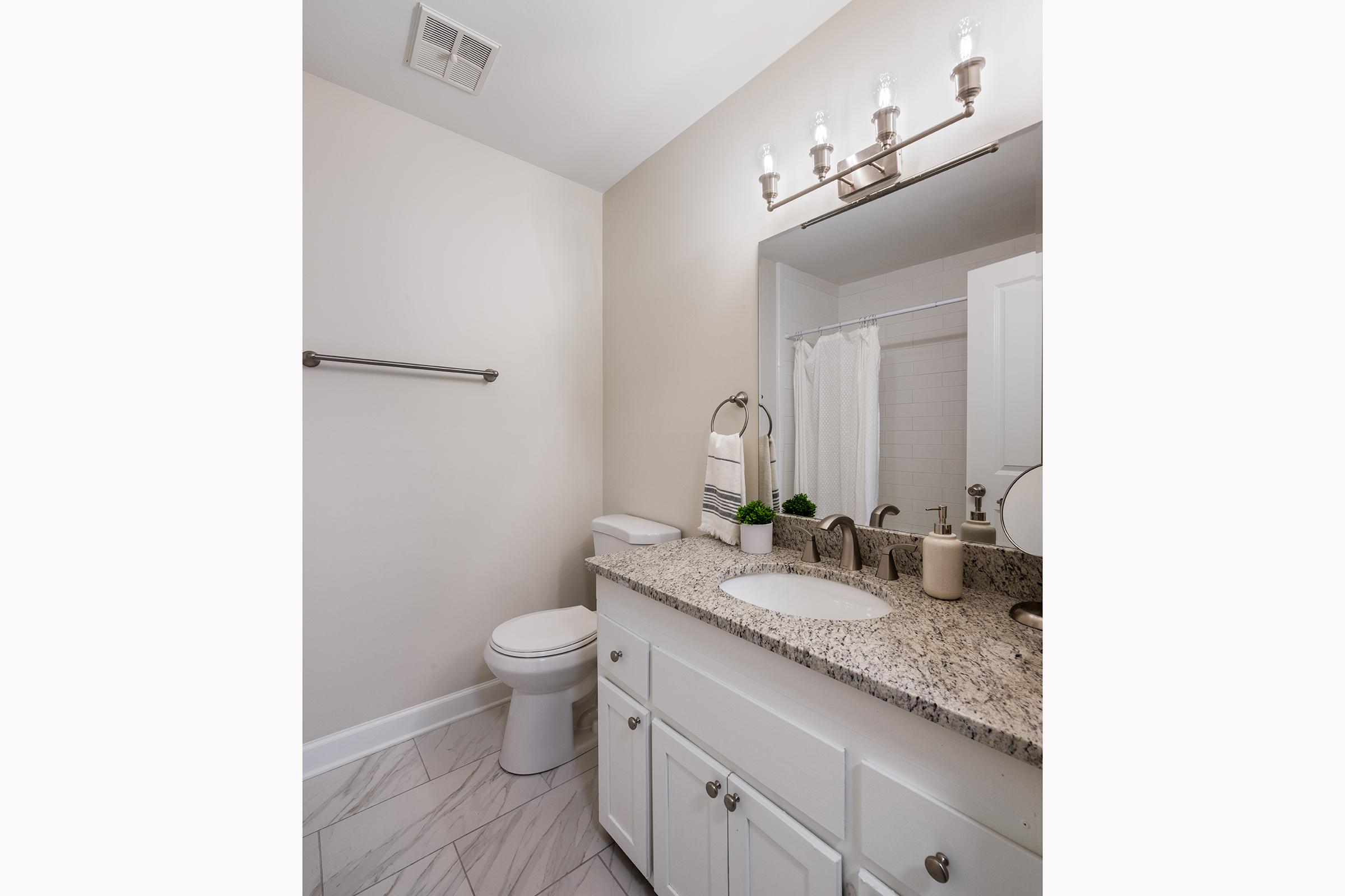 A clean and modern bathroom featuring a granite countertop with a sink, a large mirror above, a white toilet, and a shower area with a curtain. The walls are painted a neutral color, and there is a towel rack and decorative items on the counter, enhancing the overall aesthetic.