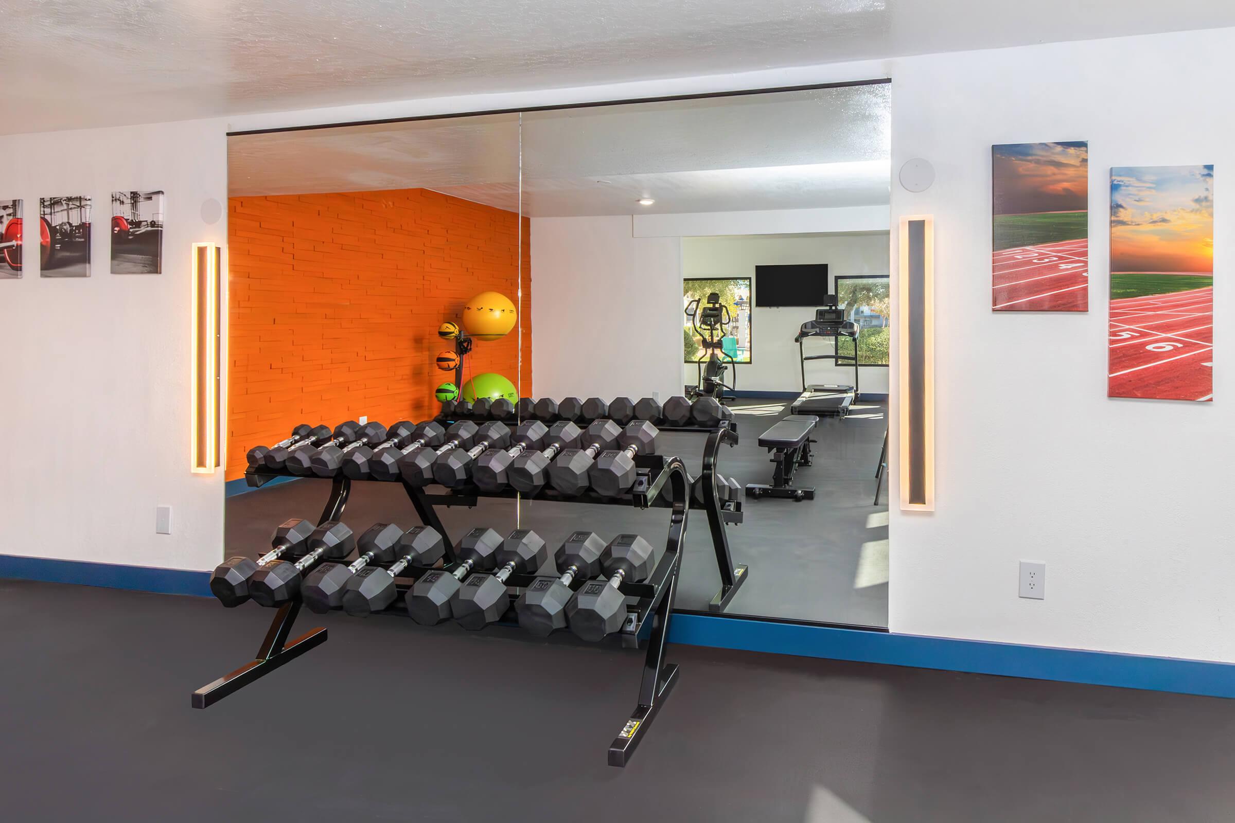 A modern gym interior featuring a rack of dumbbells in the foreground. In the background, there are exercise machines, a treadmill, and colorful exercise balls. The walls are decorated with motivational images, and a large mirror reflects the workout area. Bright and inviting atmosphere for fitness enthusiasts.
