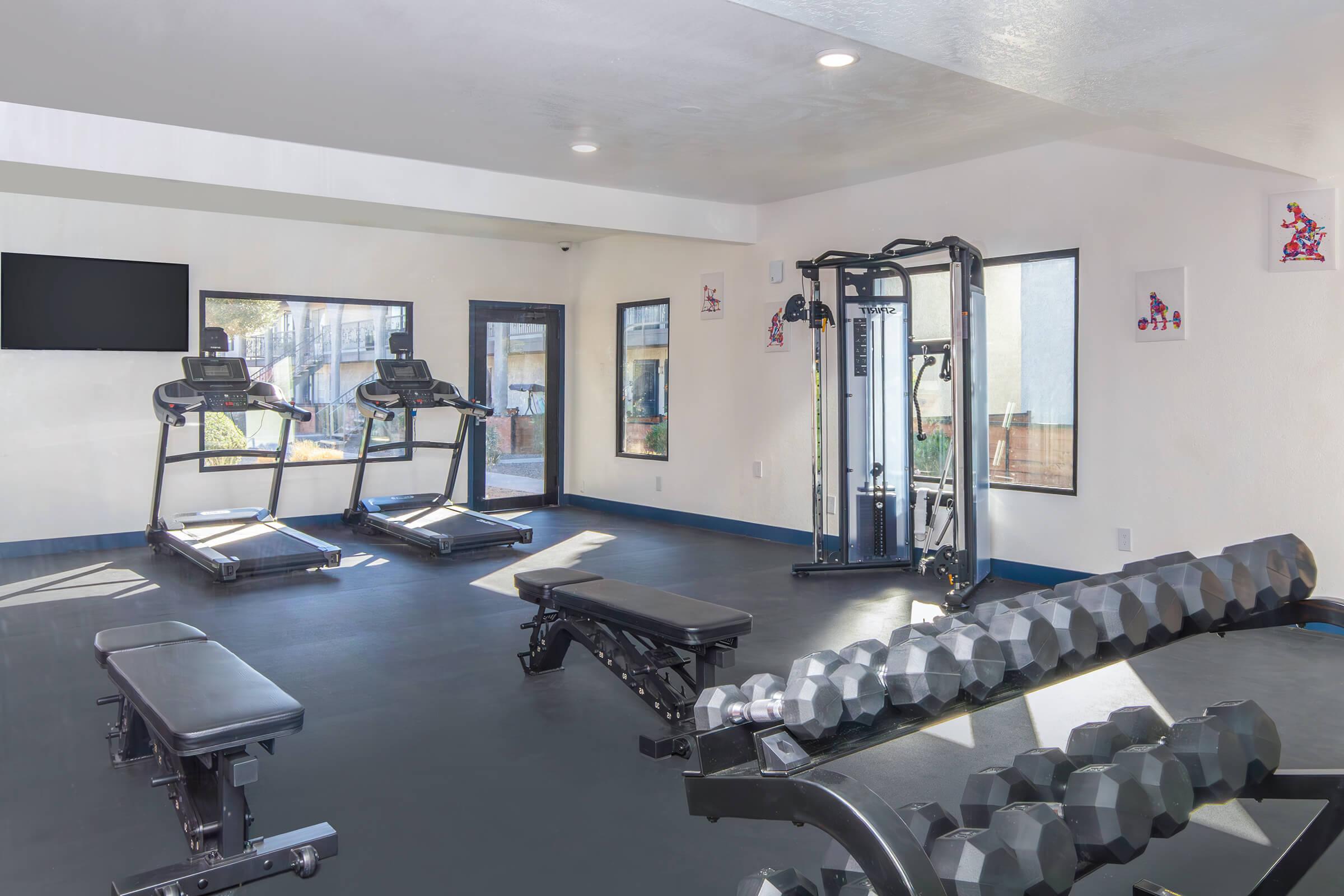 A well-lit gym interior featuring two treadmills, a weight bench, and a set of dumbbells. The room has multiple windows for natural light, and there’s a cable machine in the corner. Wall decorations and a TV add to the space, creating a motivating workout environment.
