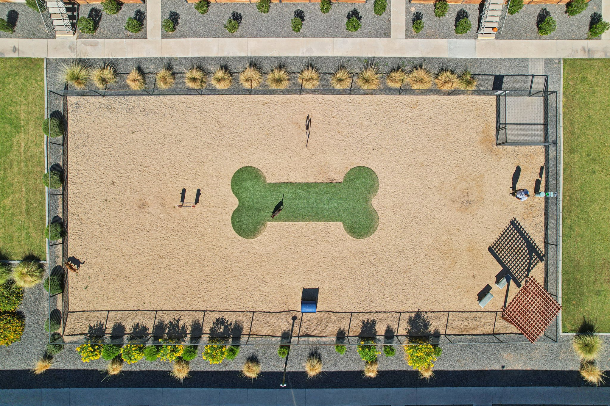 Aerial view of a dog park featuring a bone-shaped green area in the center of a sandy space. Surrounding the park are neatly arranged shrubs and seating areas. Several people and dogs can be seen in the park, enjoying the open space.