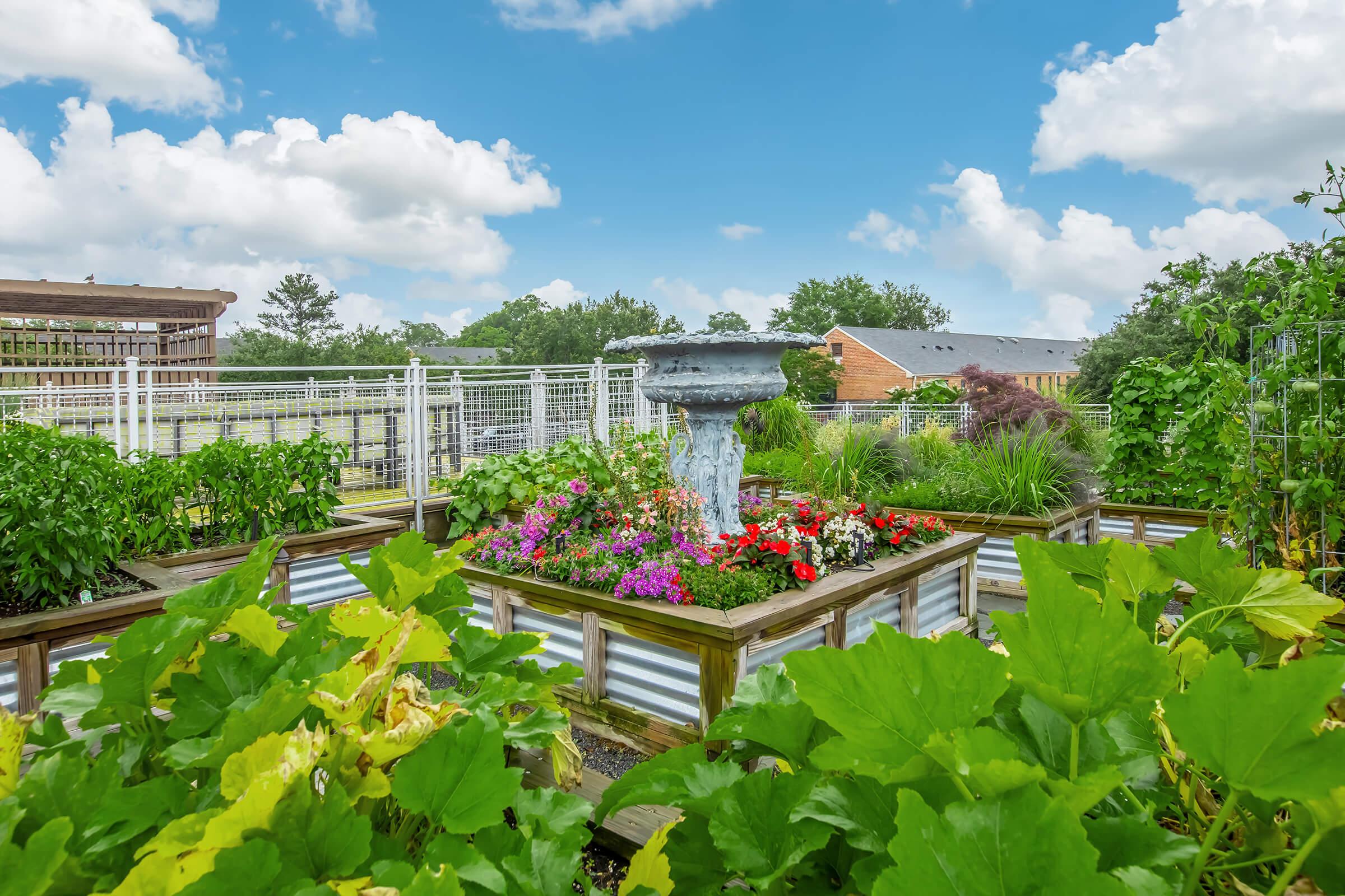 A vibrant community garden featuring raised beds filled with colorful flowers and lush green plants. In the center, a stone fountain adds a serene focal point. The backdrop includes trees and buildings under a bright blue sky dotted with fluffy white clouds.