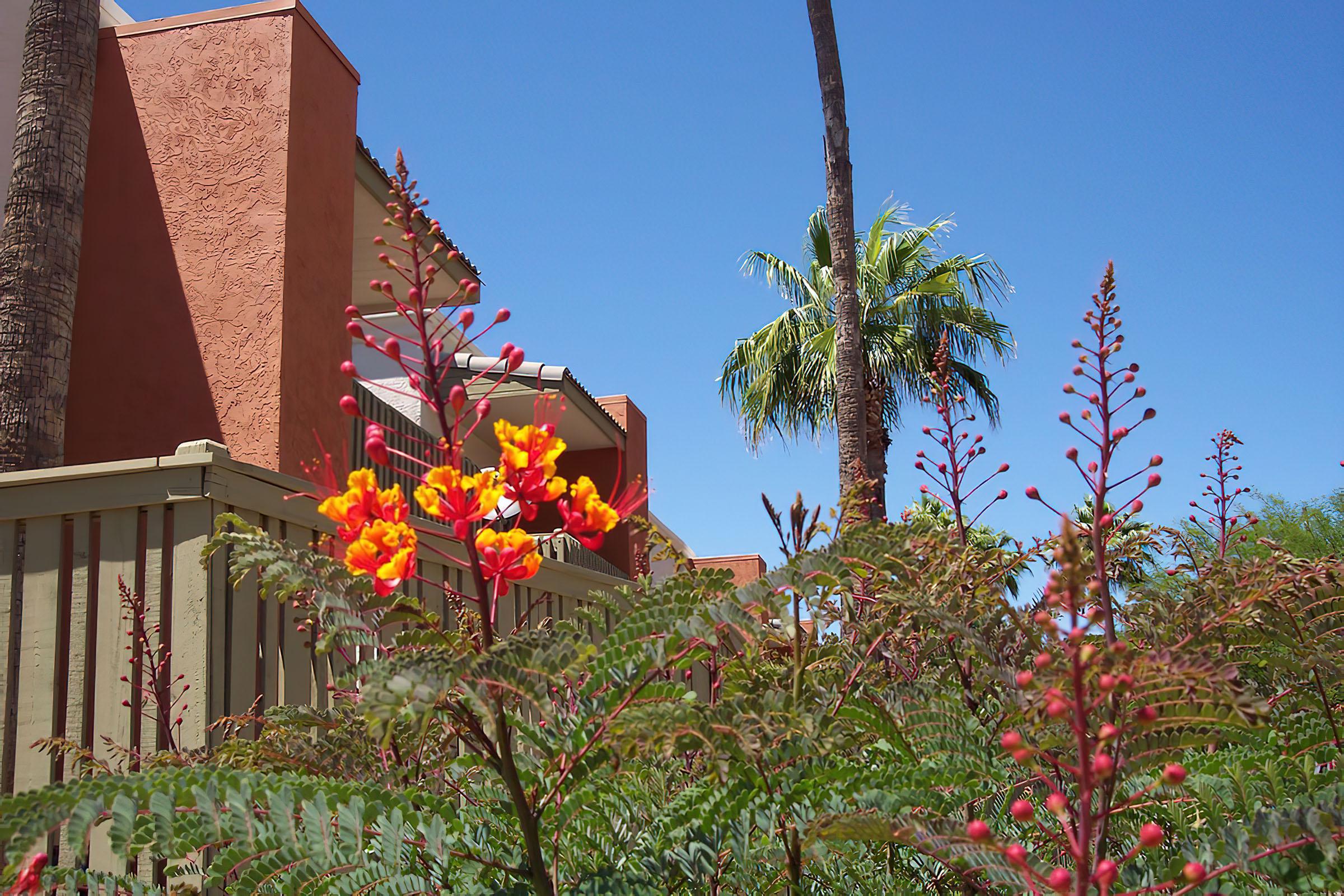 a close up of a flower garden in front of a building