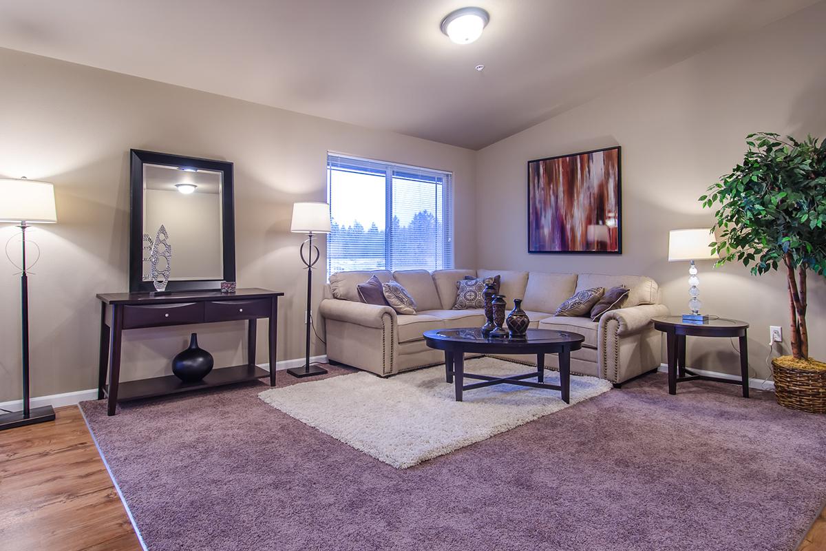 a living room filled with furniture and a fireplace