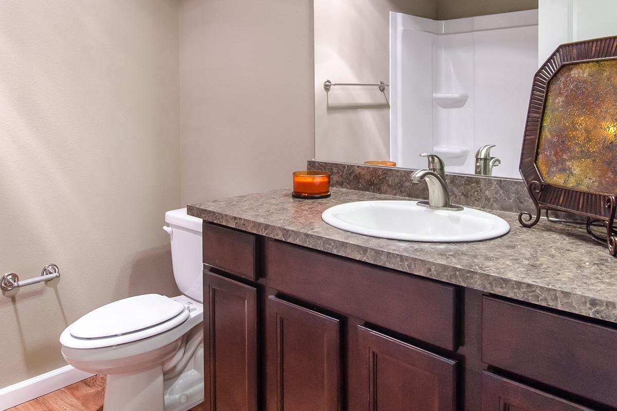 a sink and a mirror