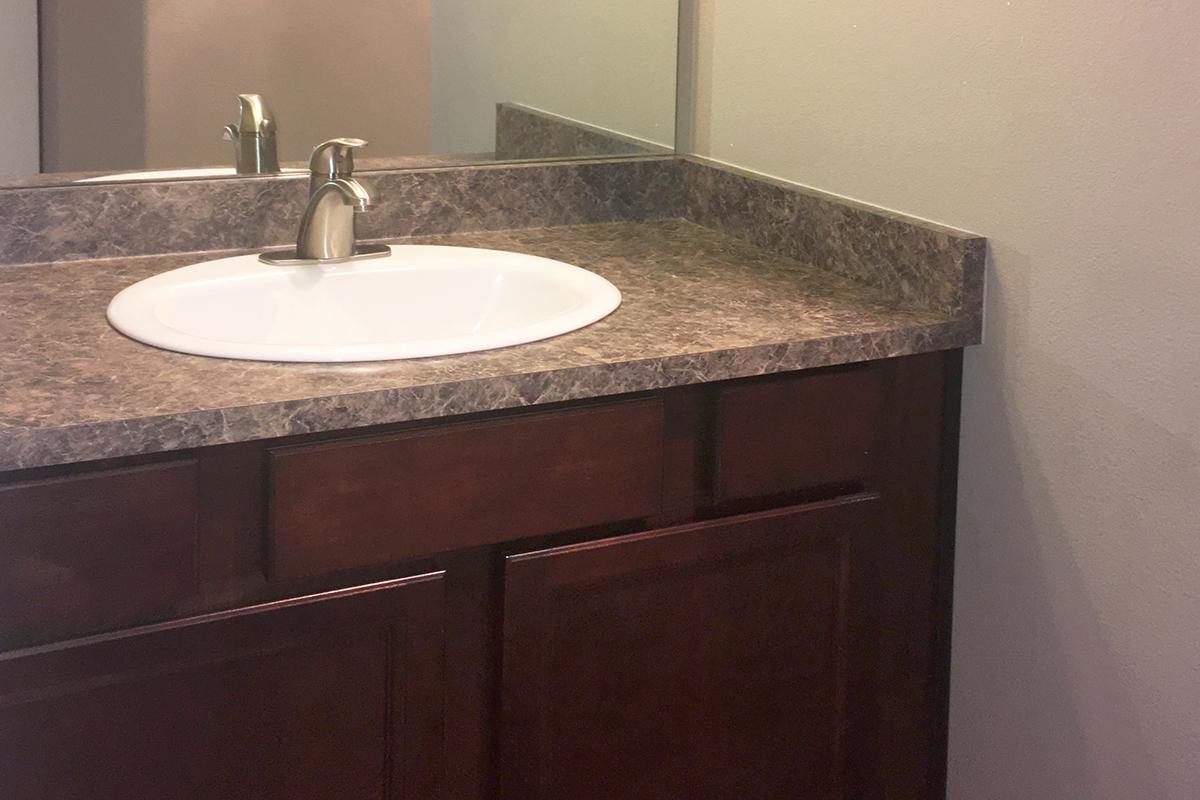 a double sink and large mirror