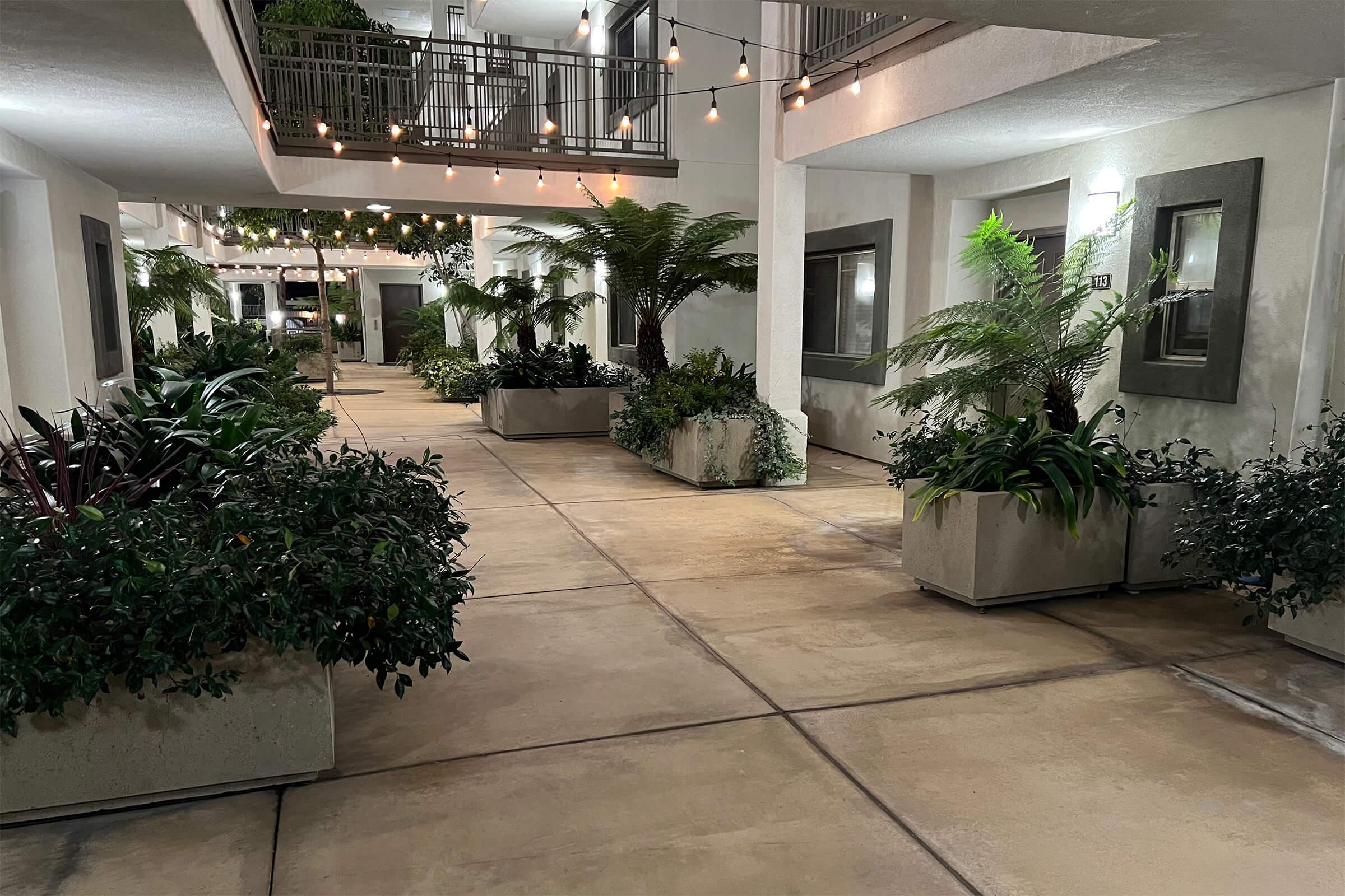 A well-lit, landscaped corridor featuring potted plants and greenery. String lights hang above, creating a warm atmosphere. The walkway is made of concrete, with planters on either side, bordered by modern building architecture.