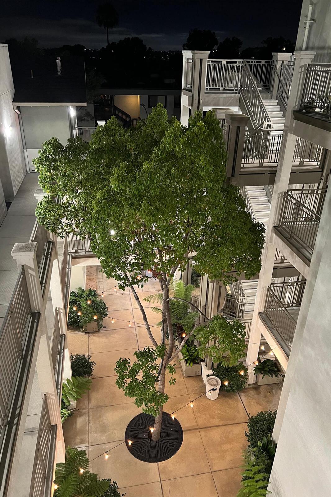 A nighttime view of a courtyard featuring a central tree surrounded by potted plants and decorative lights. The area includes two buildings with multiple staircases and walkways, creating a peaceful and inviting atmosphere. Soft lighting enhances the greenery and architectural details.