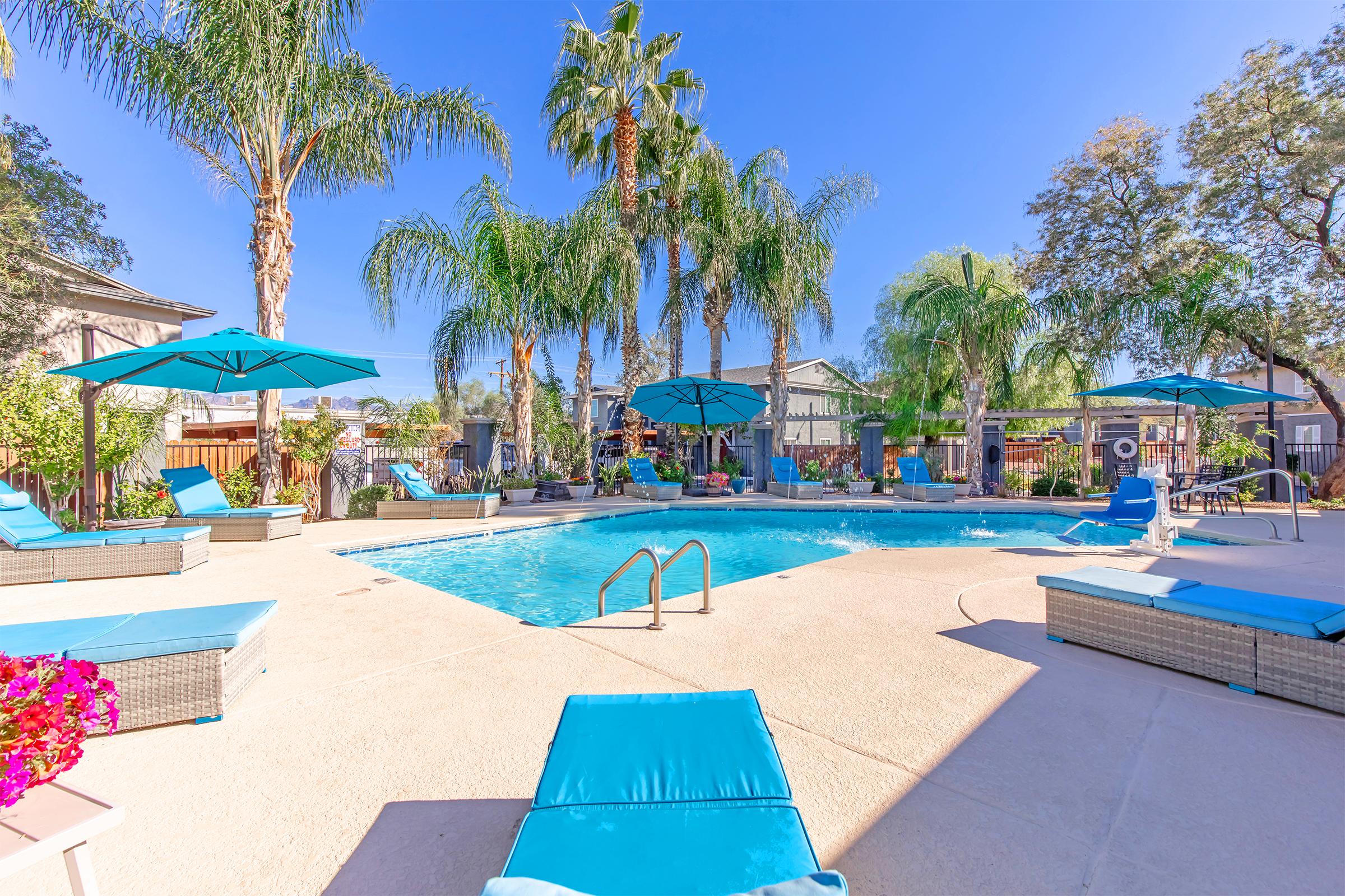 A sunny backyard pool area featuring a sparkling blue swimming pool surrounded by palm trees. Loungers with bright blue cushions are arranged around the pool, and large umbrellas provide shade. Colorful flowers adorn the space, creating a relaxing and inviting atmosphere.