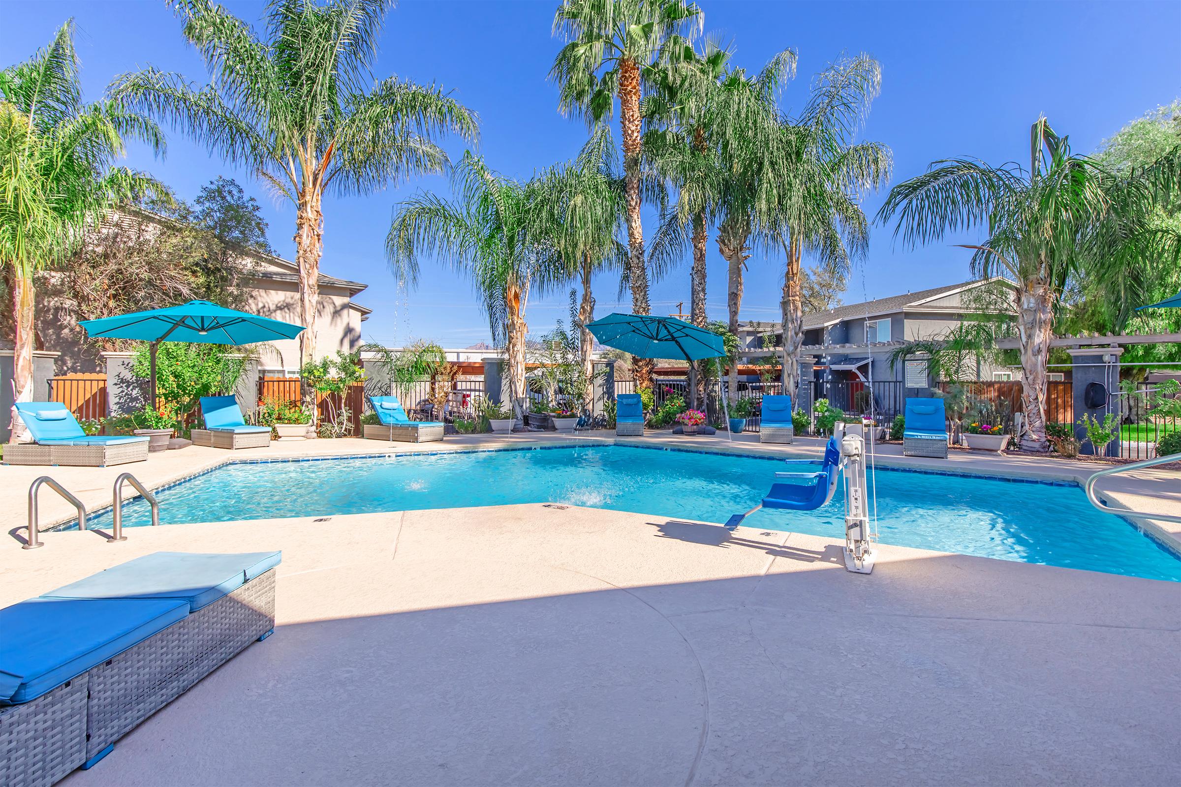 A sunlit swimming pool surrounded by tropical palm trees and blue lounge chairs. Umbrellas provide shade over the seating area. The clear blue sky reflects on the water, creating a relaxing outdoor oasis in a residential setting.