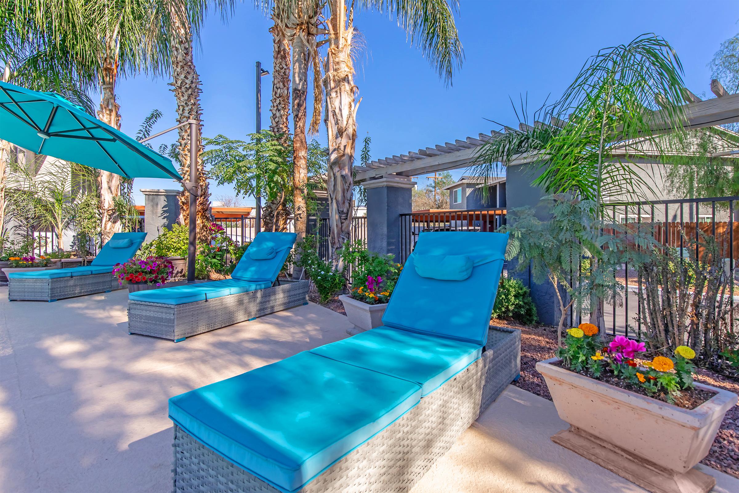 Lounge chairs with turquoise cushions are arranged by a pool surrounded by palm trees and vibrant flower beds. Sun umbrellas provide shade, and a modern fence is visible in the background, enhancing the relaxing outdoor atmosphere.