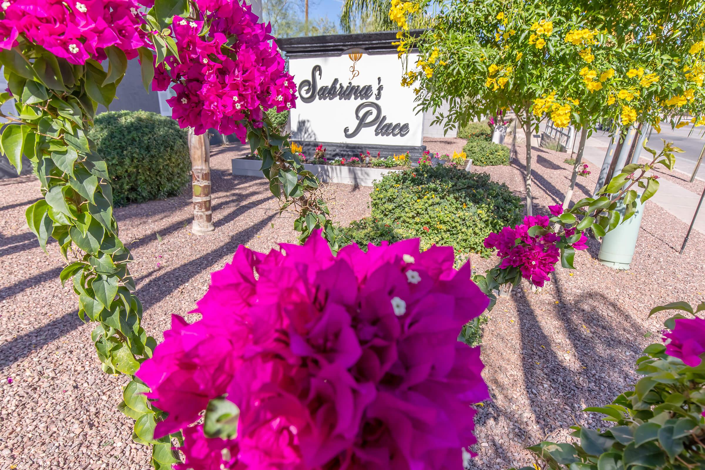 A brightly colored sign reading "Sabrina's Place" surrounded by vibrant bougainvillea flowers in shades of pink and yellow, with green foliage and a gravel landscape in the background, indicating a welcoming environment.
