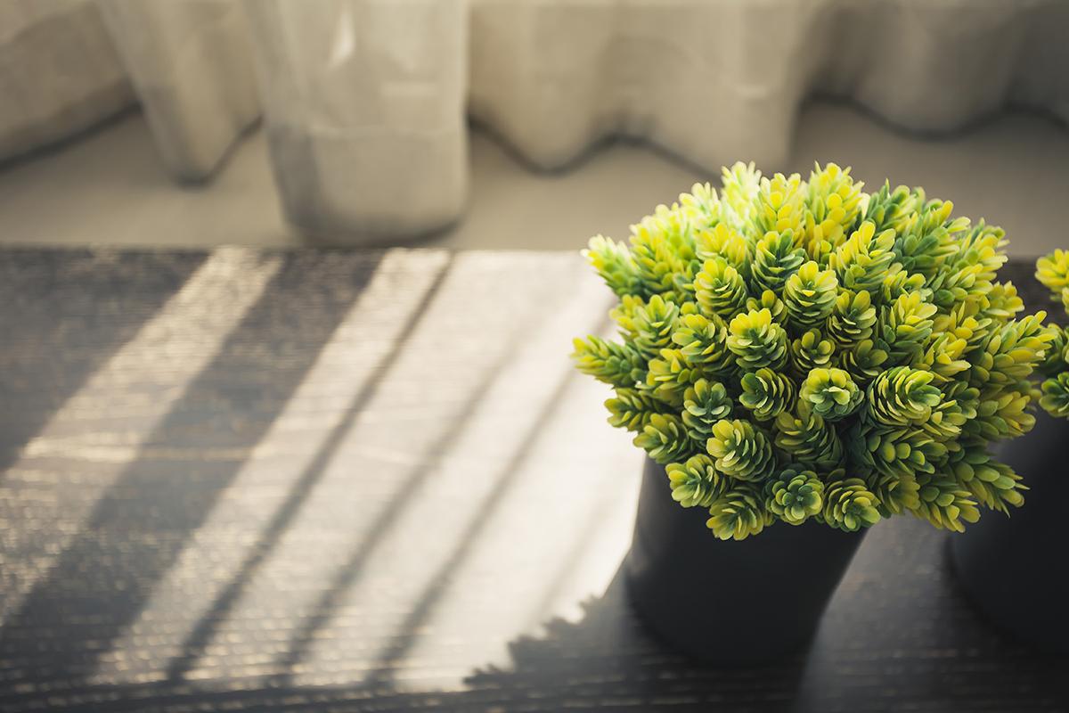 a vase of flowers on a table