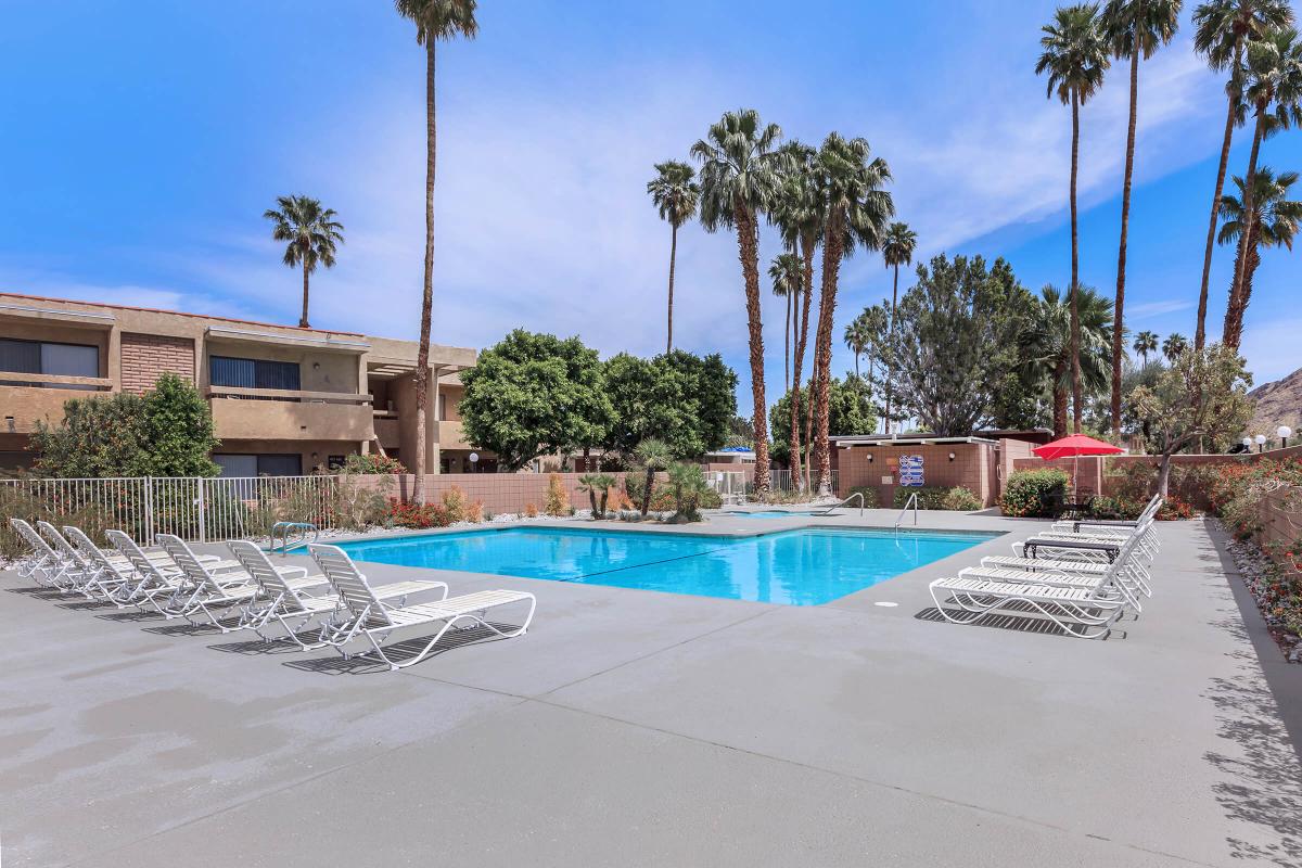 a group of palm trees next to a pool